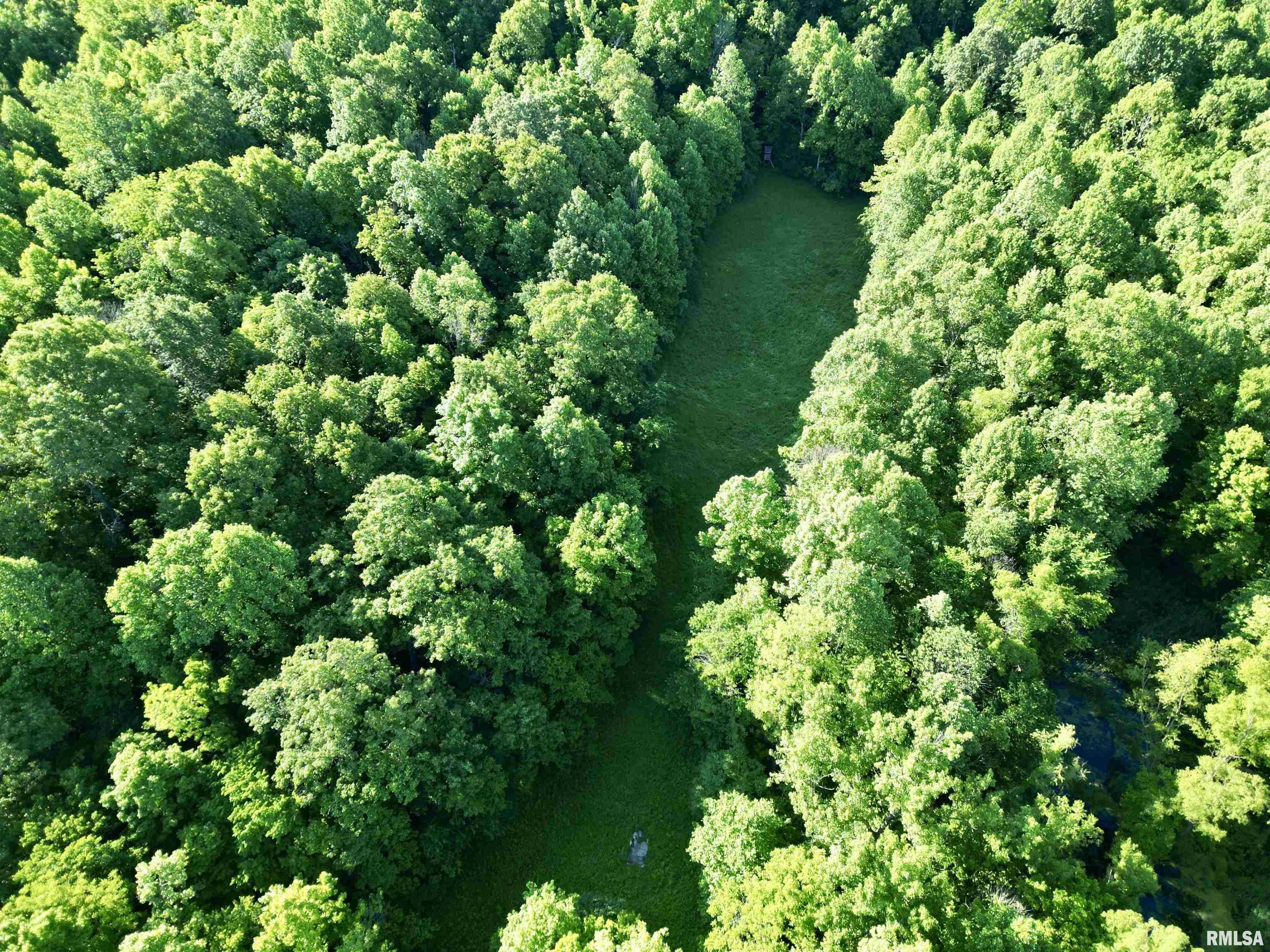 000 Yellow Springs Road, Elizabethtown, Illinois image 6