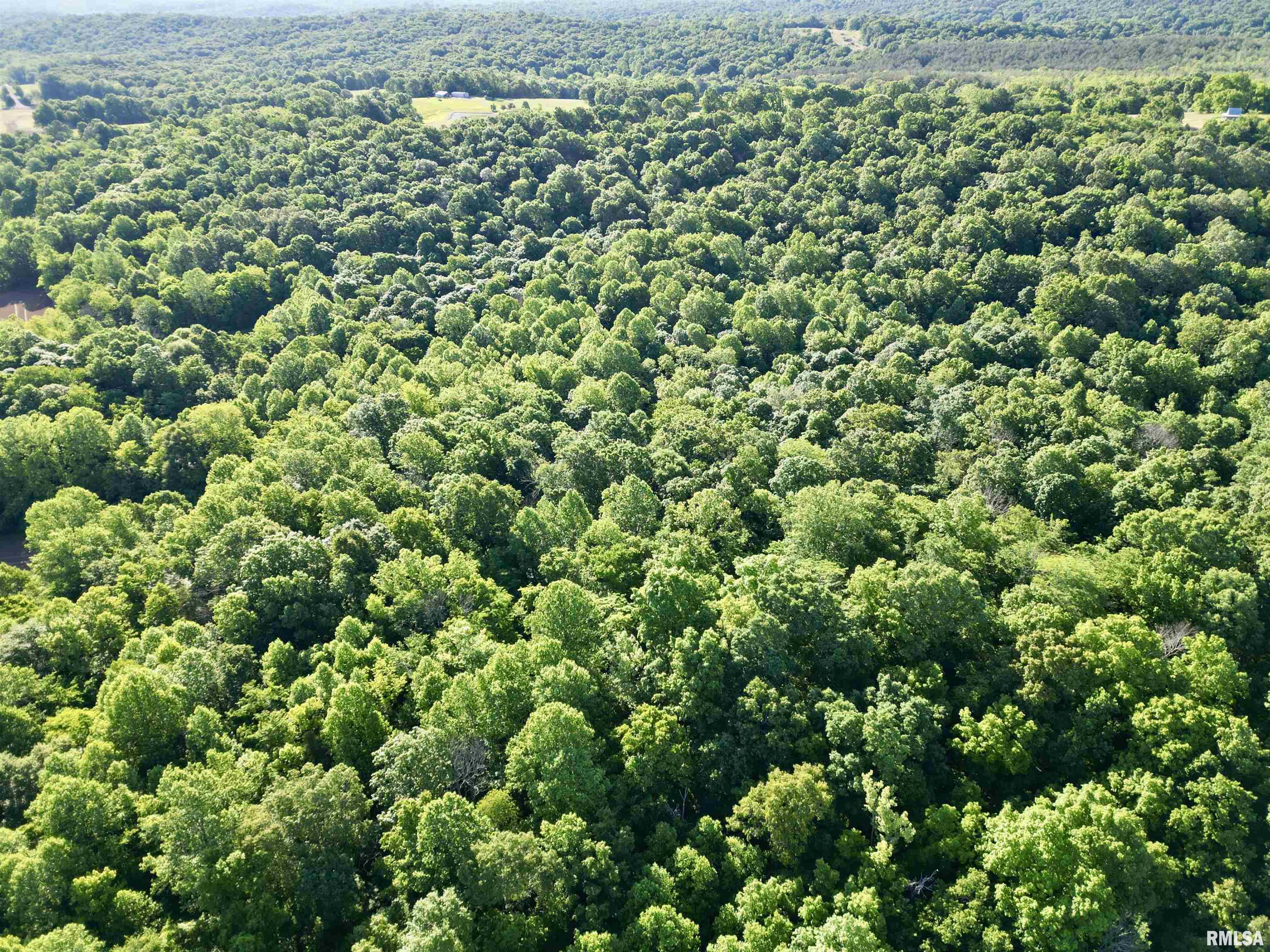 000 Yellow Springs Road, Elizabethtown, Illinois image 13