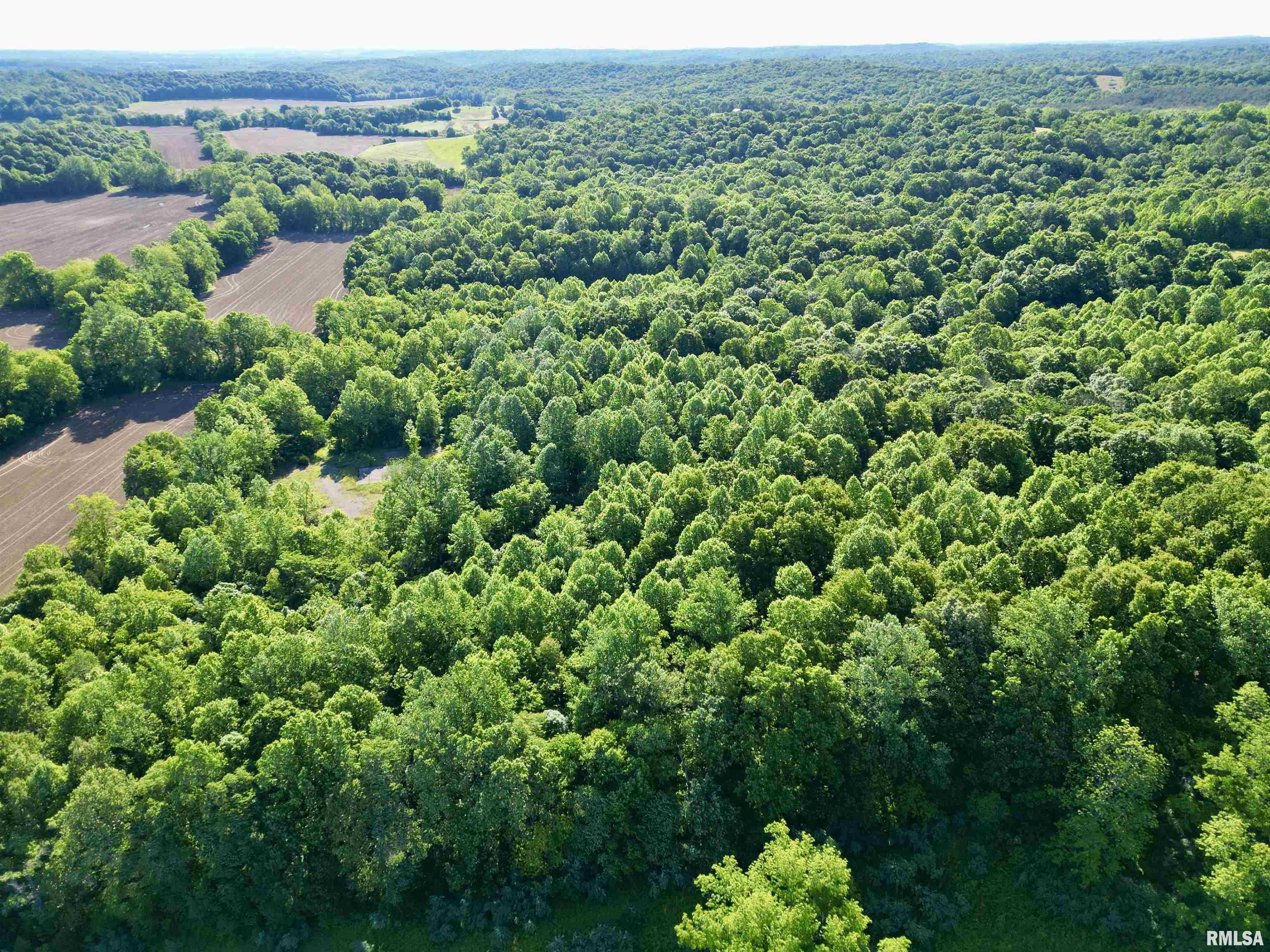 000 Yellow Springs Road, Elizabethtown, Illinois image 4