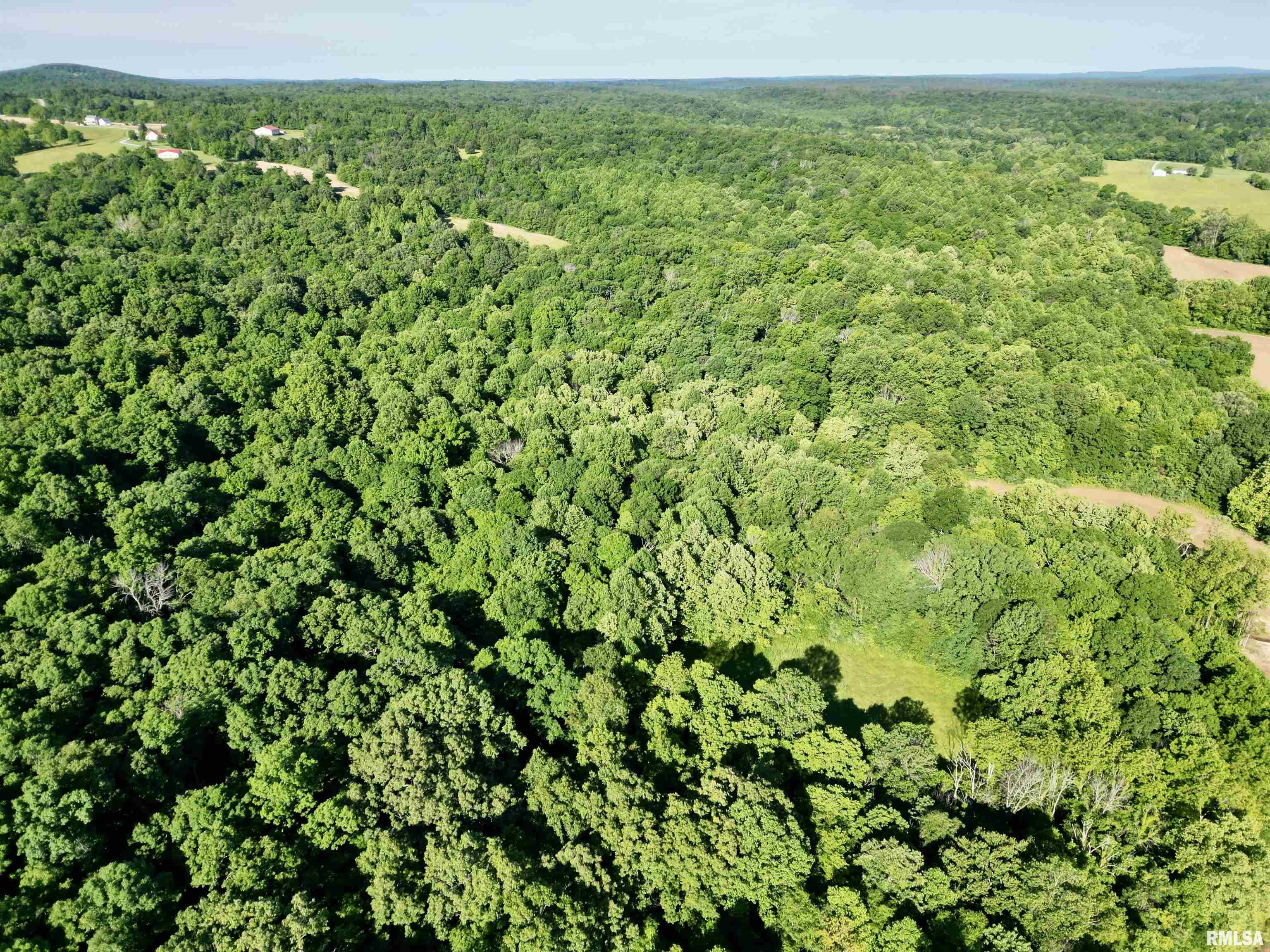 000 Yellow Springs Road, Elizabethtown, Illinois image 8