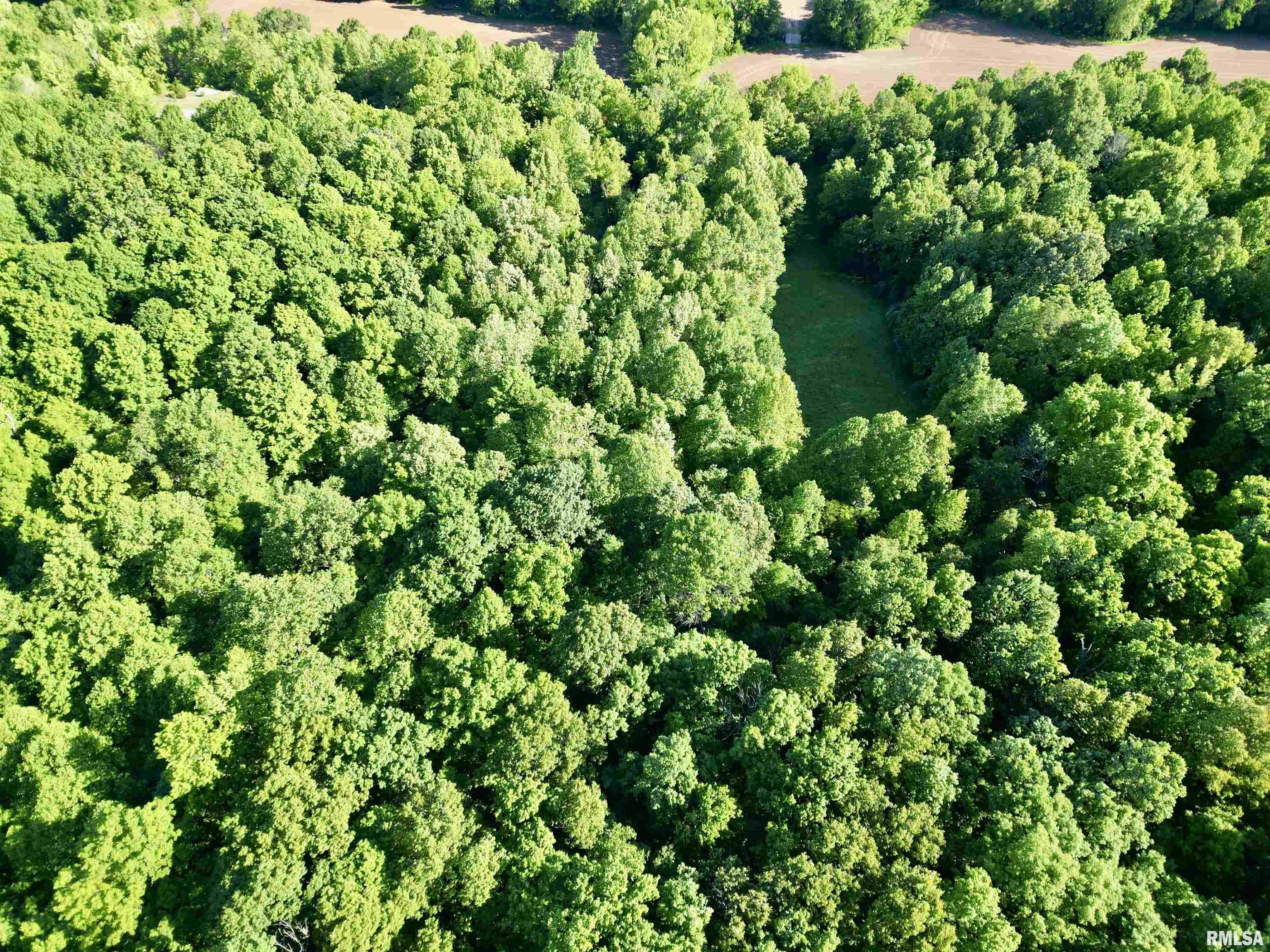 000 Yellow Springs Road, Elizabethtown, Illinois image 11