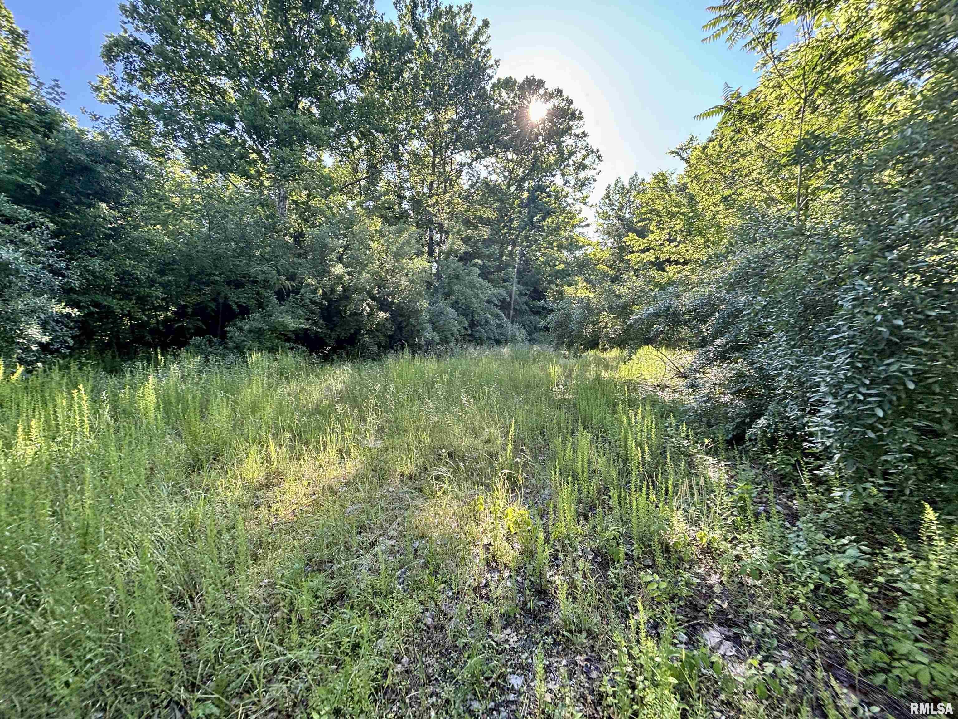 000 Yellow Springs Road, Elizabethtown, Illinois image 20