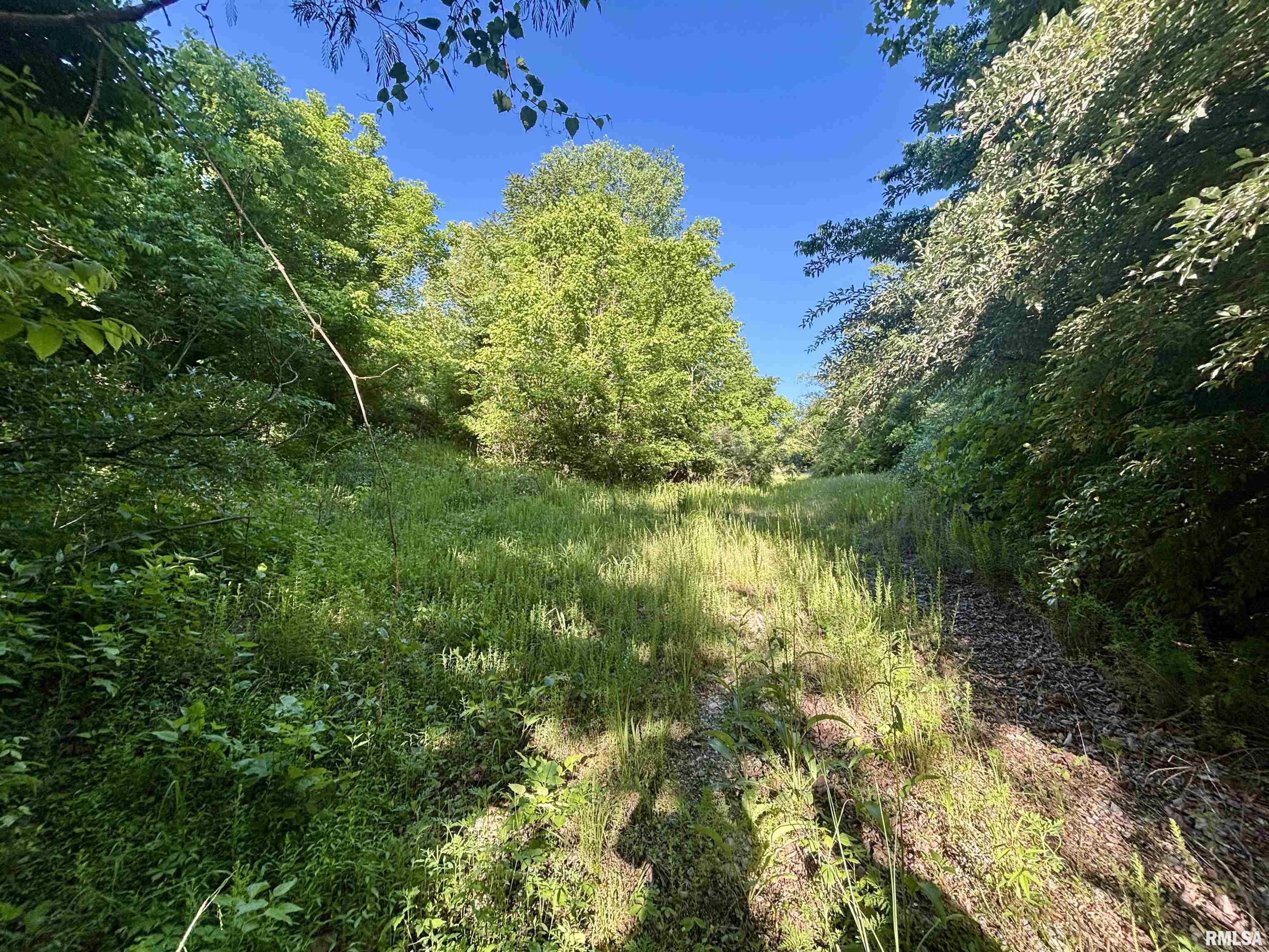 000 Yellow Springs Road, Elizabethtown, Illinois image 21
