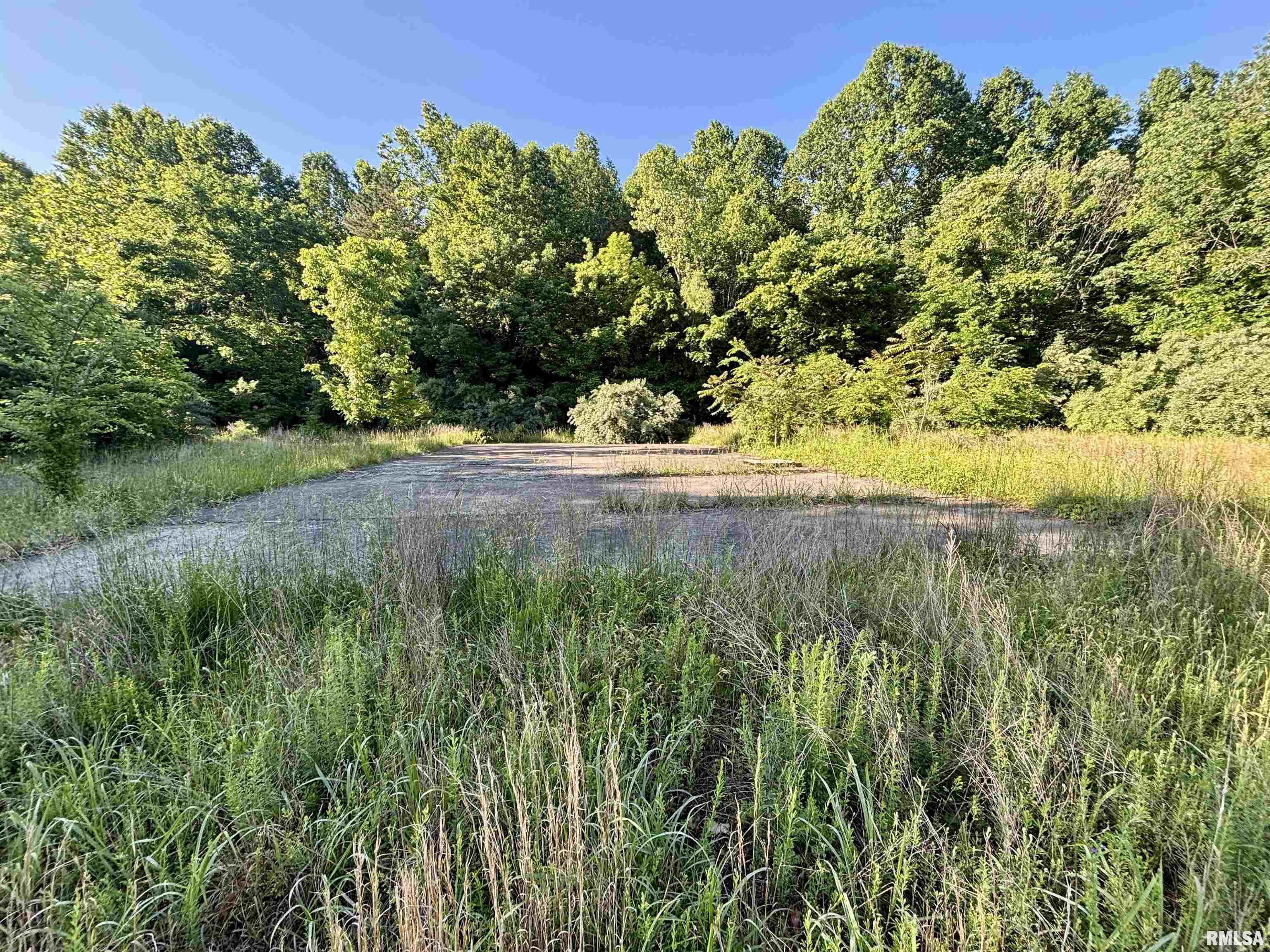 000 Yellow Springs Road, Elizabethtown, Illinois image 19