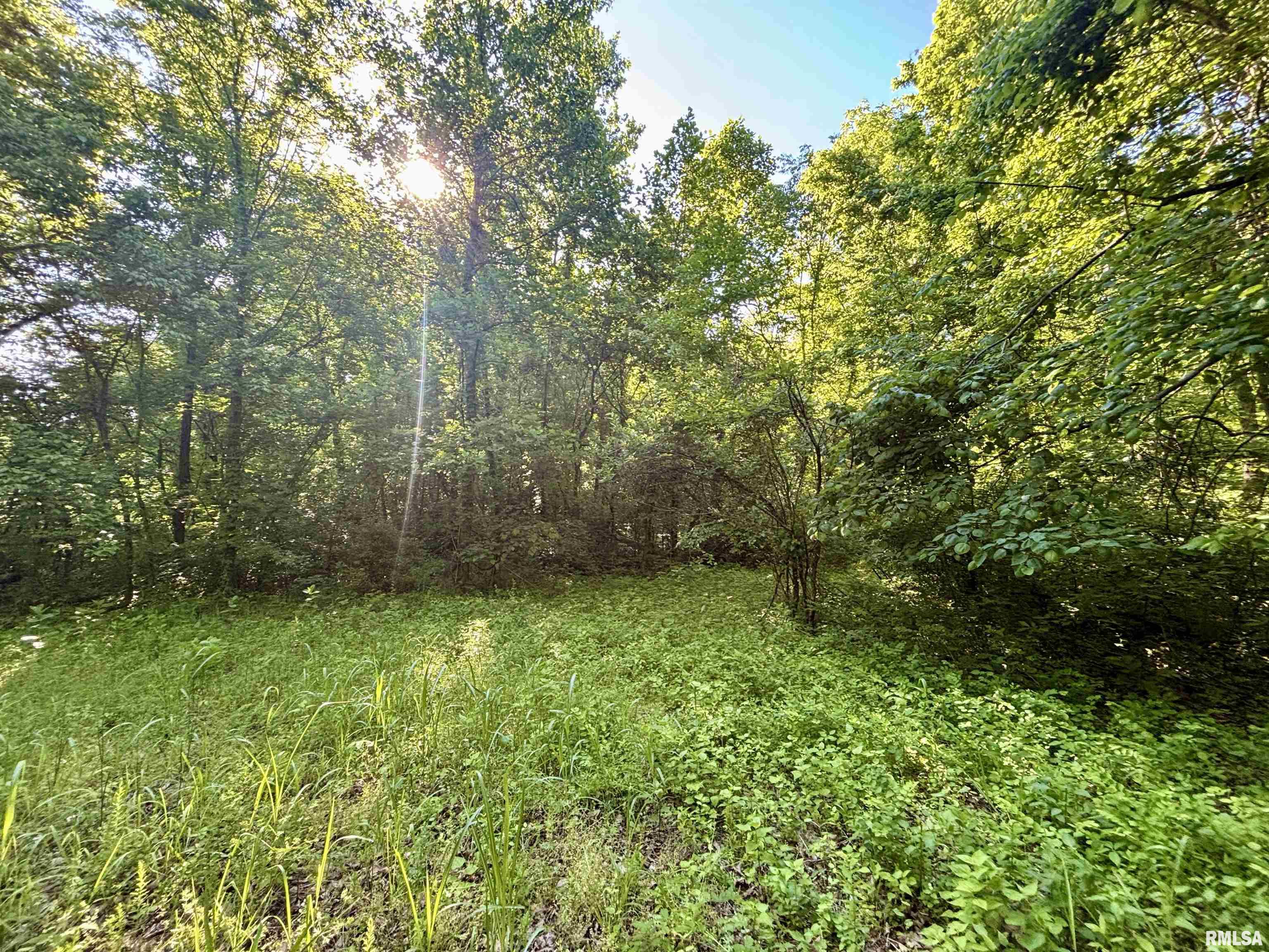 000 Yellow Springs Road, Elizabethtown, Illinois image 18