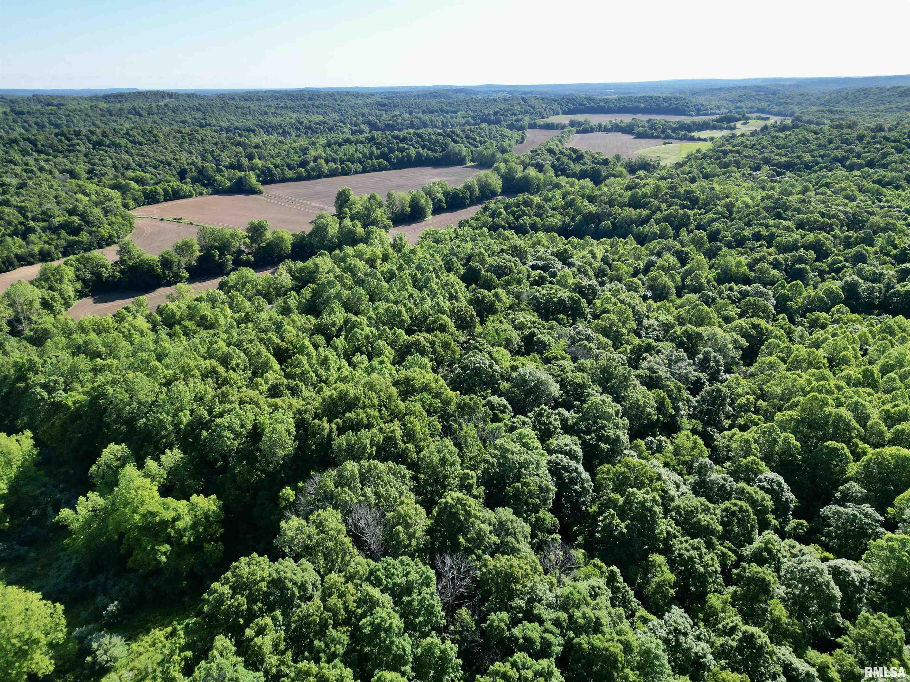 000 Yellow Springs Road, Elizabethtown, Illinois image 16
