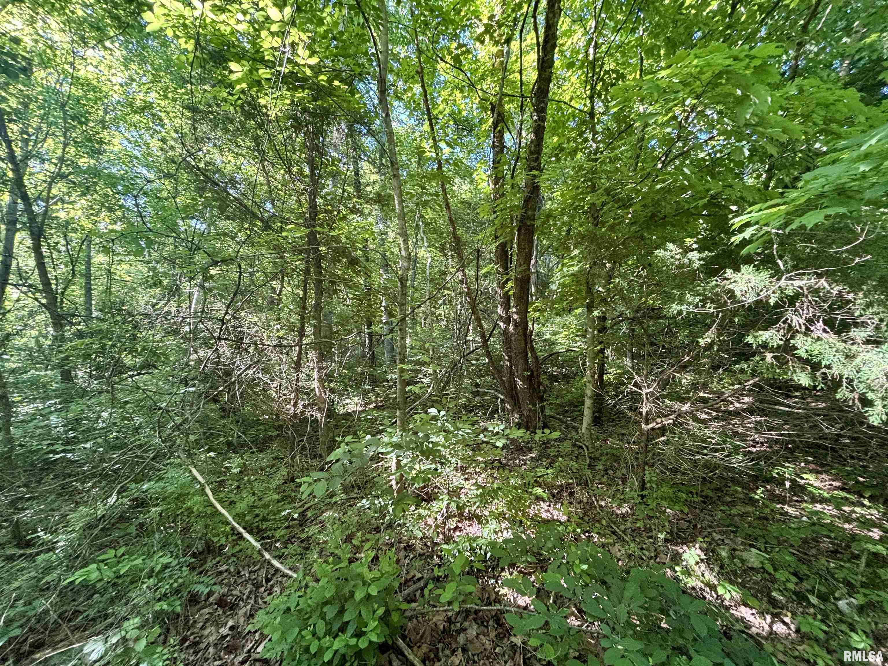 000 Yellow Springs Road, Elizabethtown, Illinois image 22