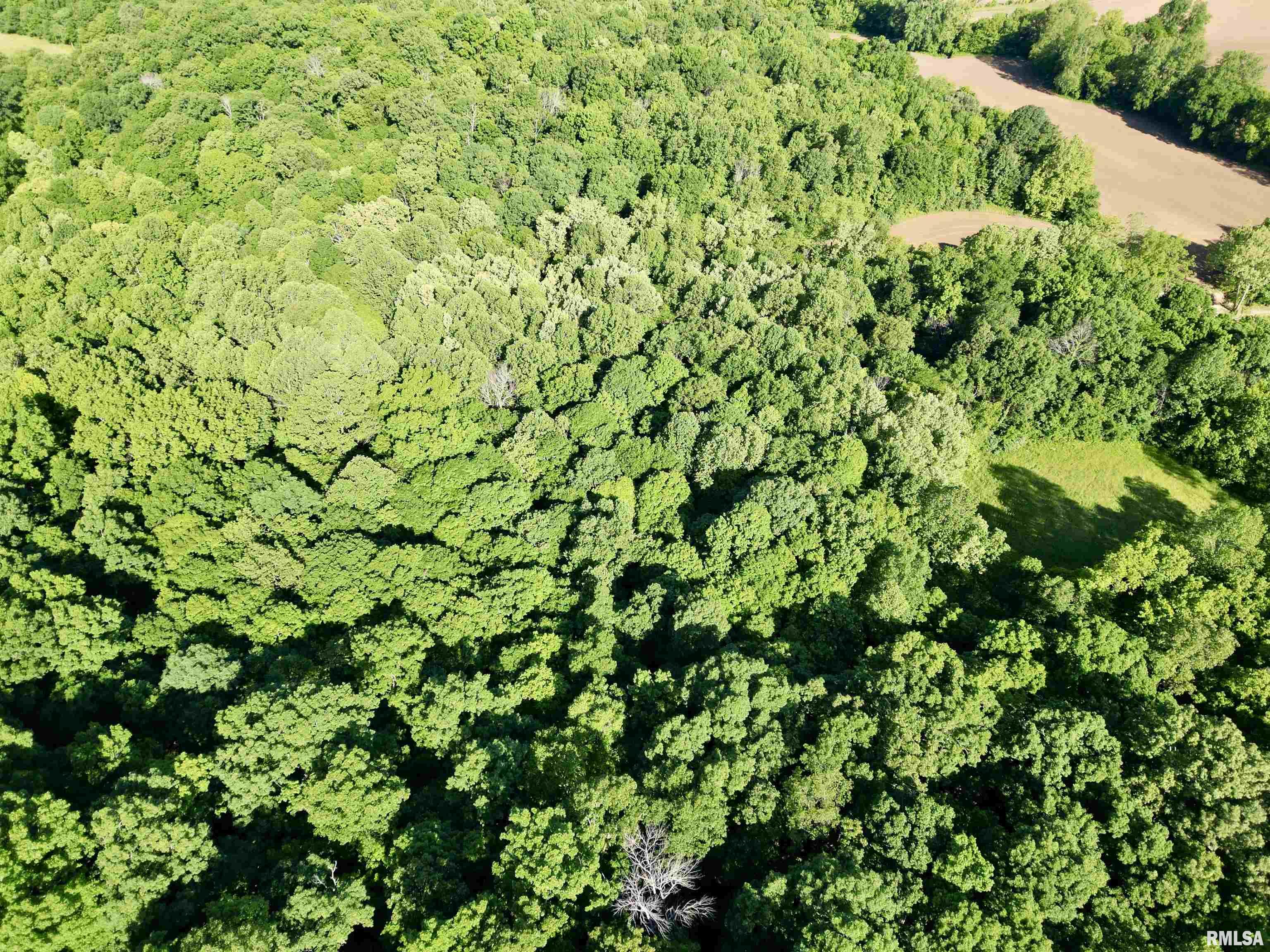 000 Yellow Springs Road, Elizabethtown, Illinois image 9