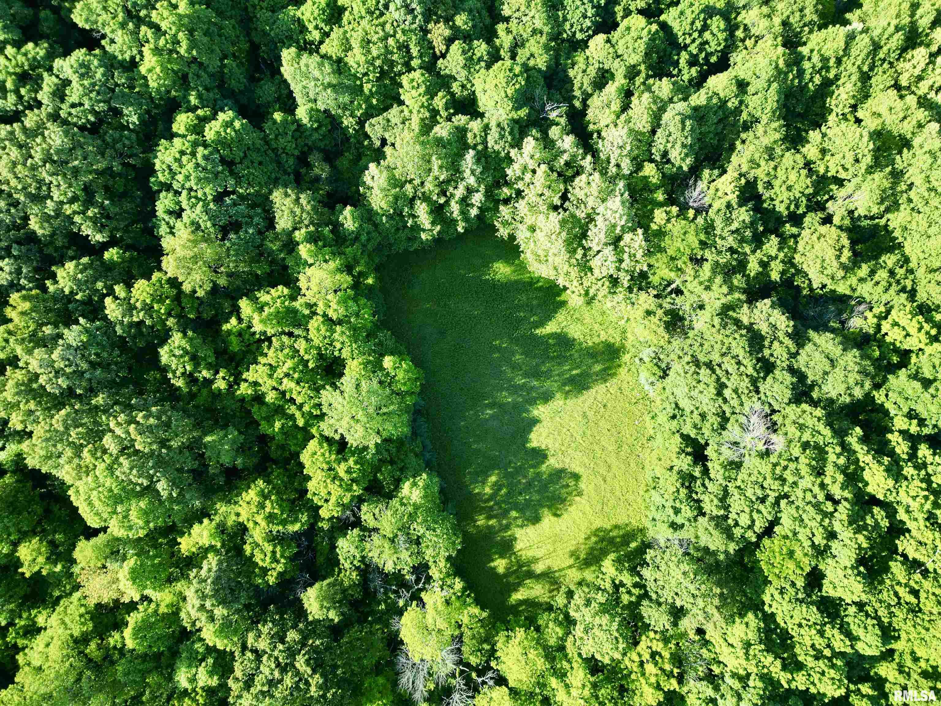 000 Yellow Springs Road, Elizabethtown, Illinois image 12