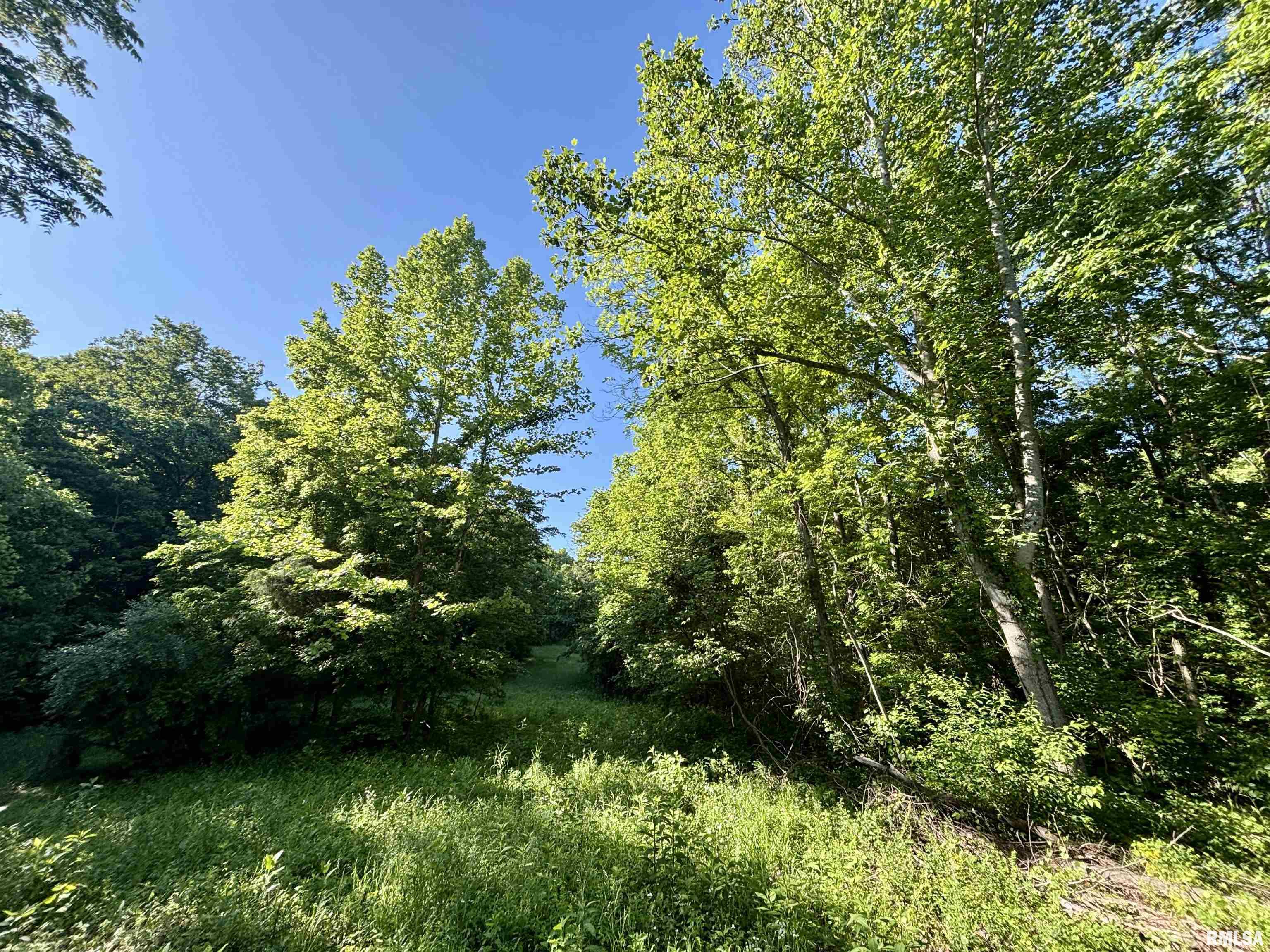 000 Yellow Springs Road, Elizabethtown, Illinois image 17