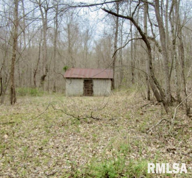 000 Yellow Springs Road, Elizabethtown, Illinois image 29