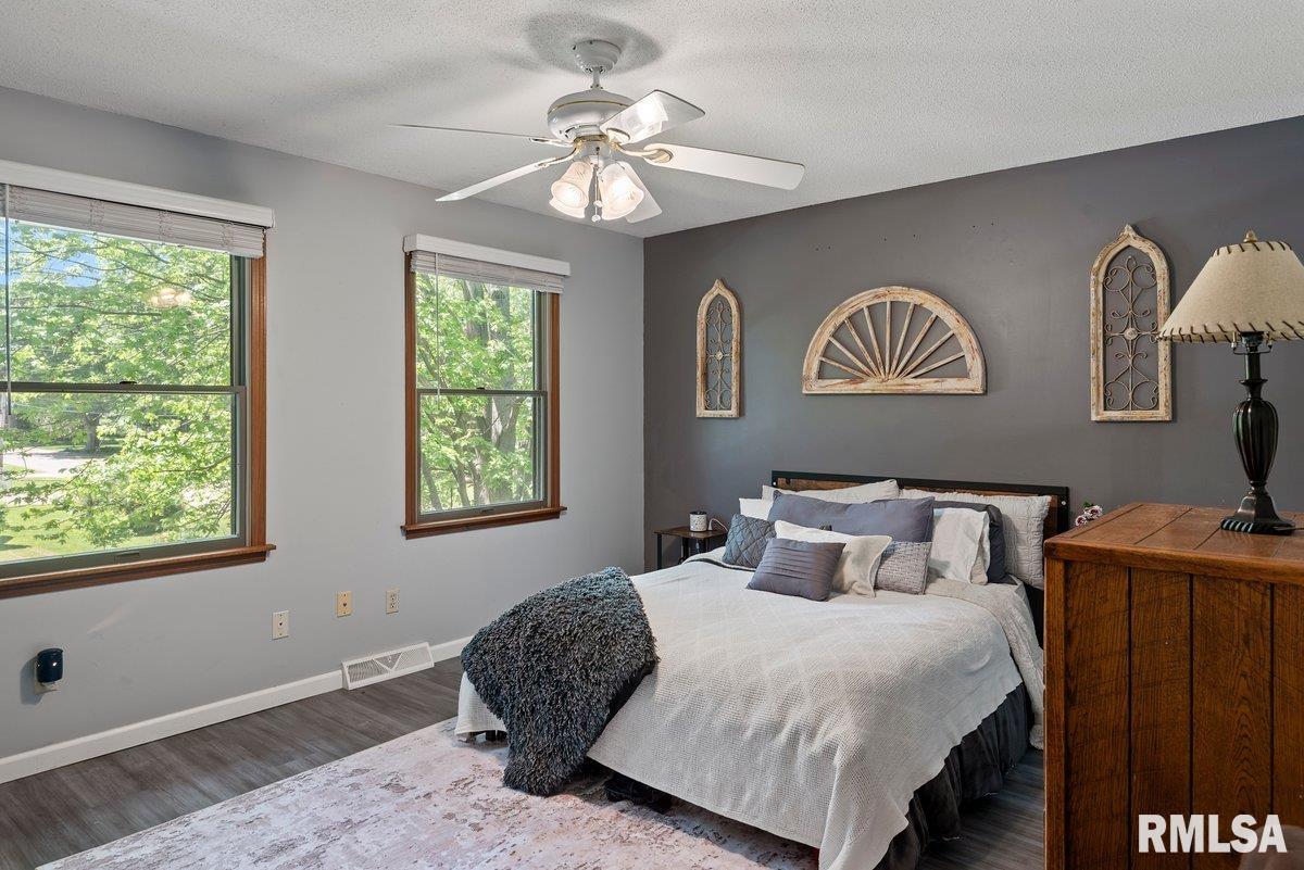413 W Chestnut Street, Chatham, Illinois image 16