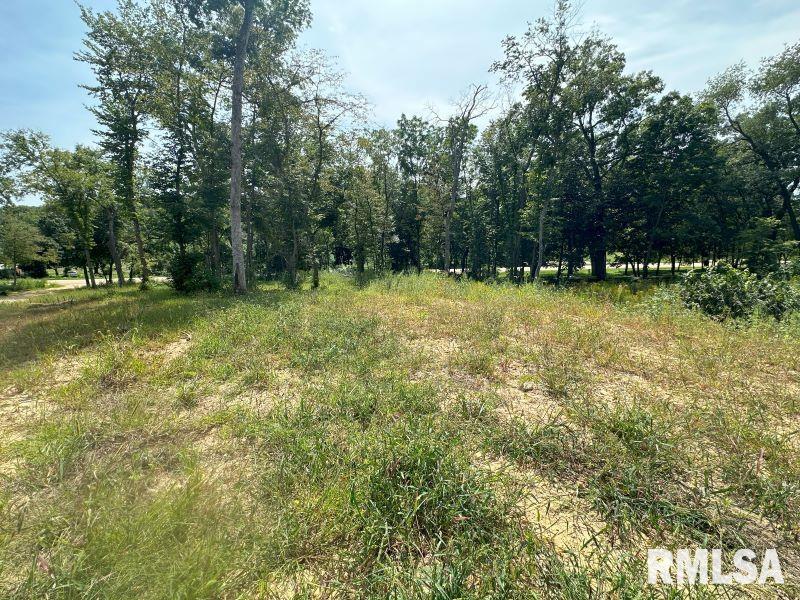 Lot 1 225th Street, De Witt, Iowa image 3