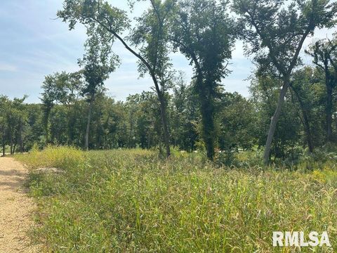 Photo of 1 225TH Street, De Witt, IA 52742 (MLS # QC4250307)