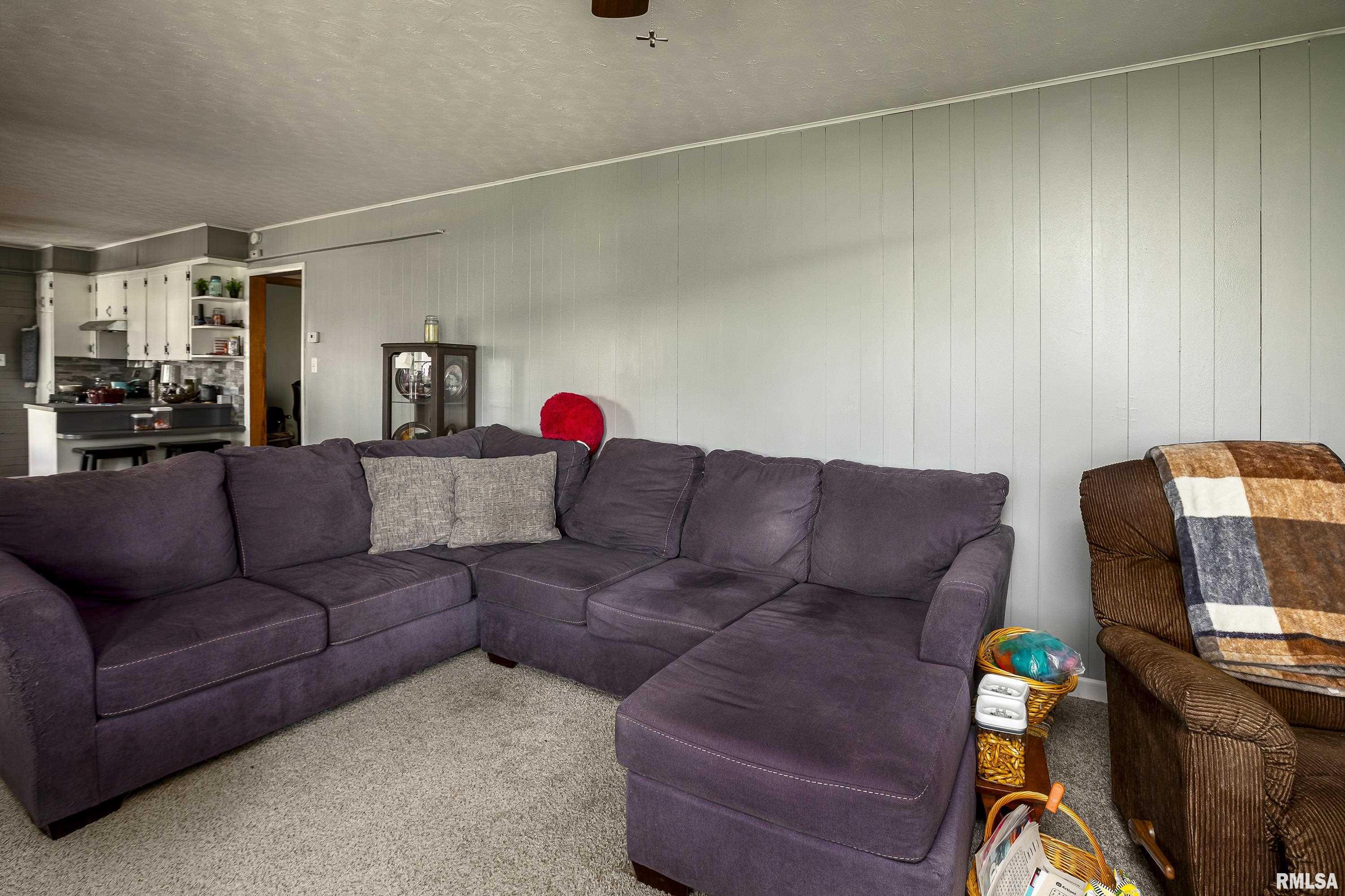 814 W 15th Street, Johnston City, Illinois image 7