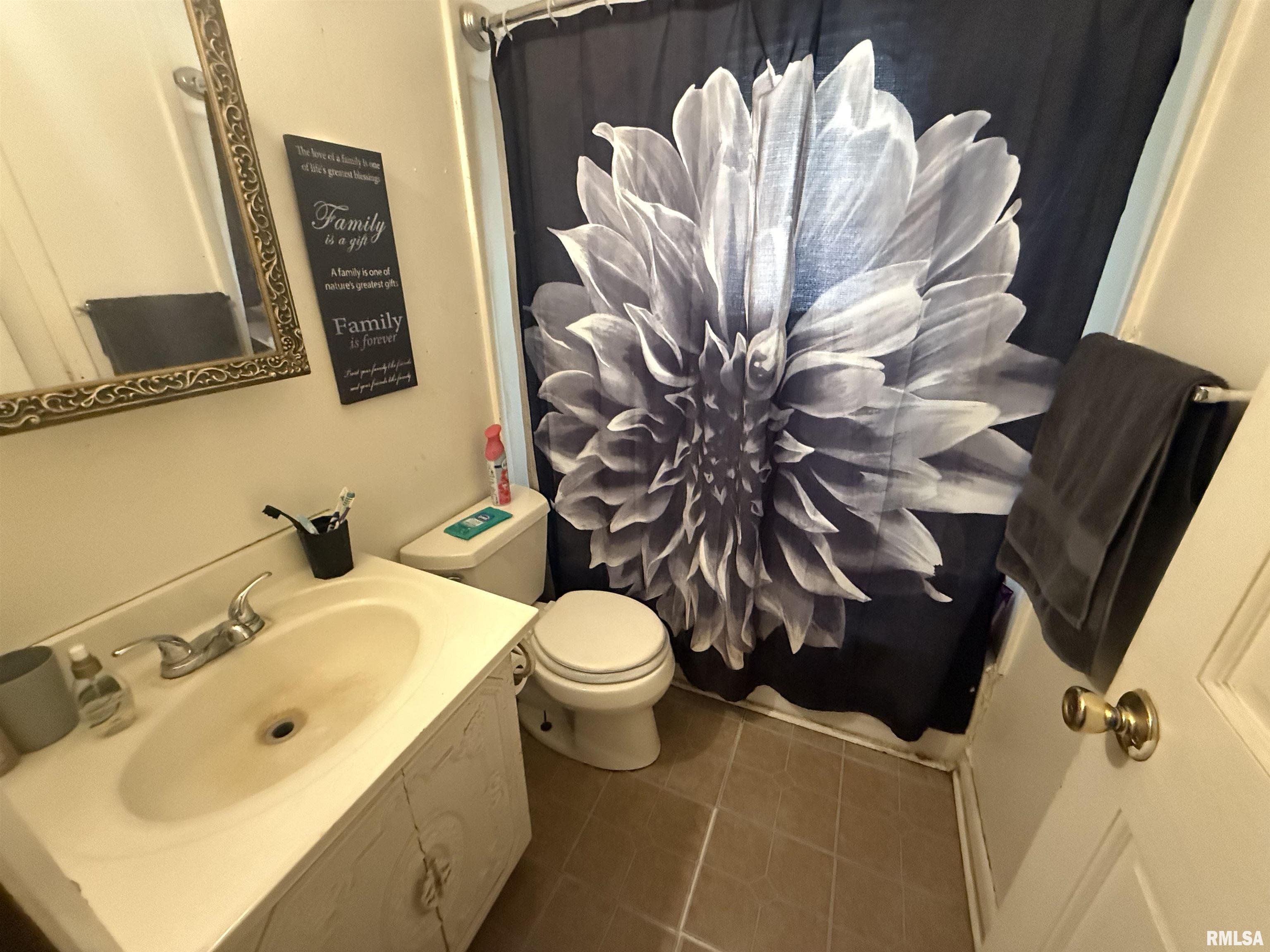 1027 N University Street, Peoria, Illinois image 16