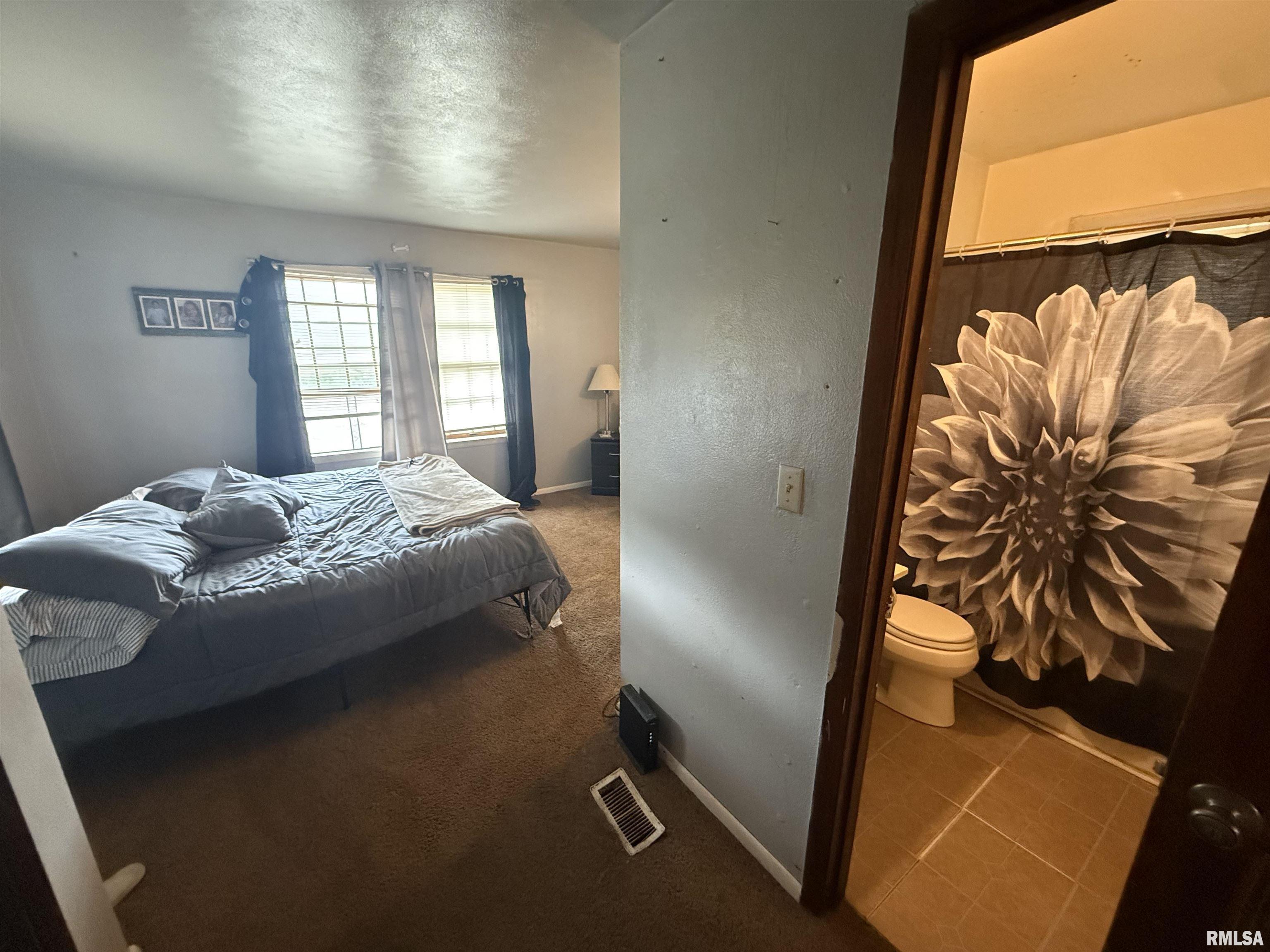 1027 N University Street, Peoria, Illinois image 14