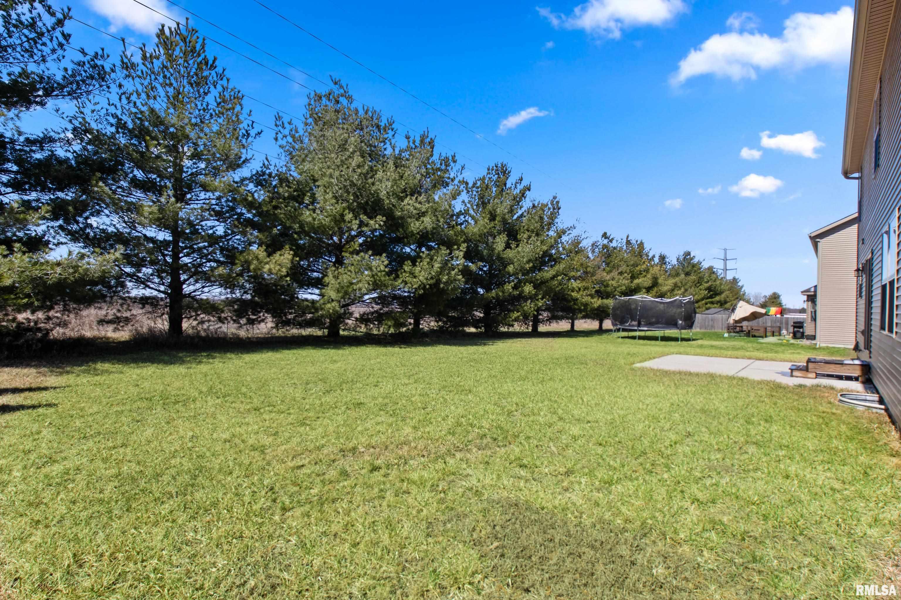 10715 N Sawmill Lane, Dunlap, Illinois image 7