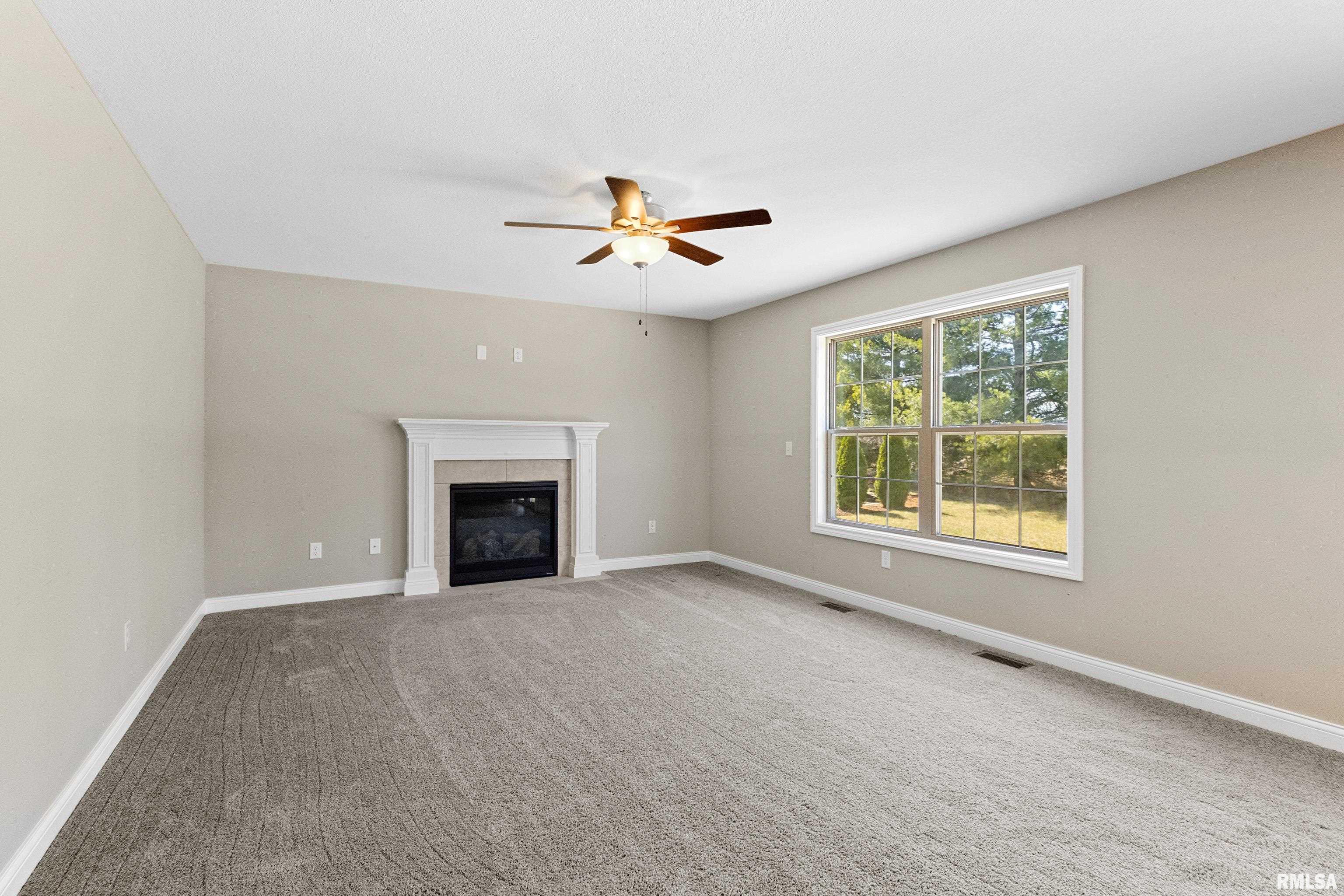 10715 N Sawmill Lane, Dunlap, Illinois image 21