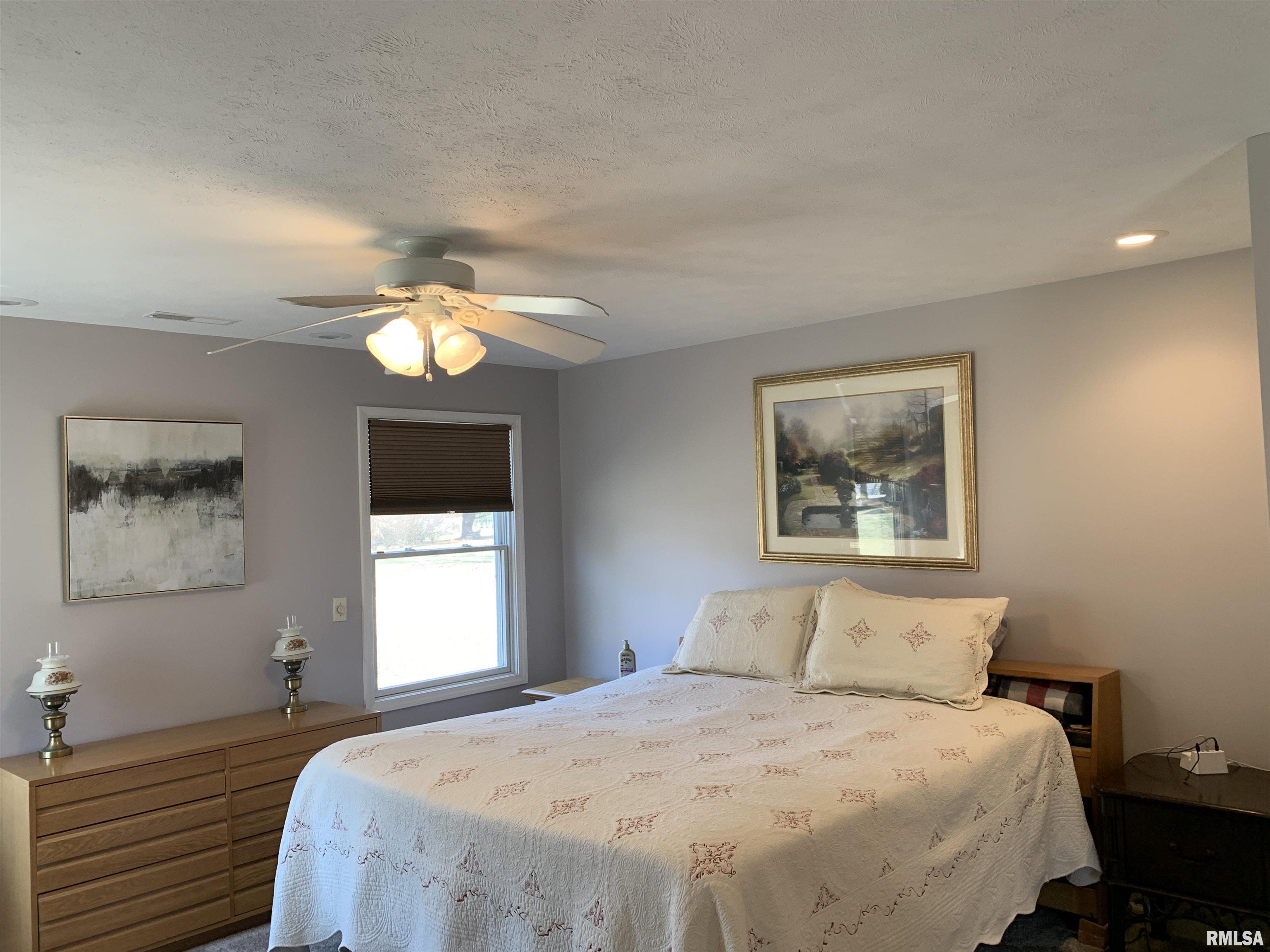 208 Spring Bay Drive, Jacksonville, Illinois image 42