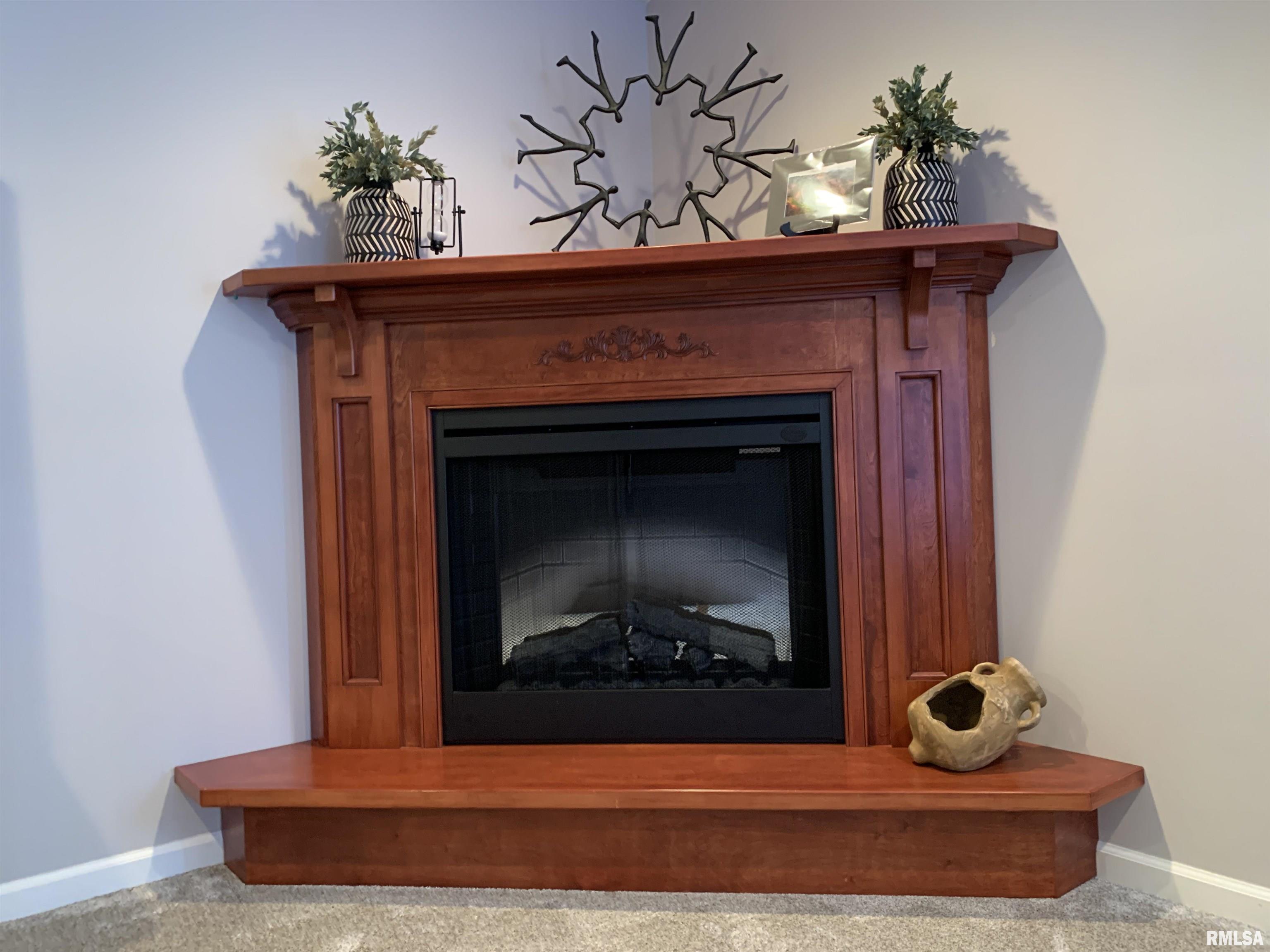 208 Spring Bay Drive, Jacksonville, Illinois image 31