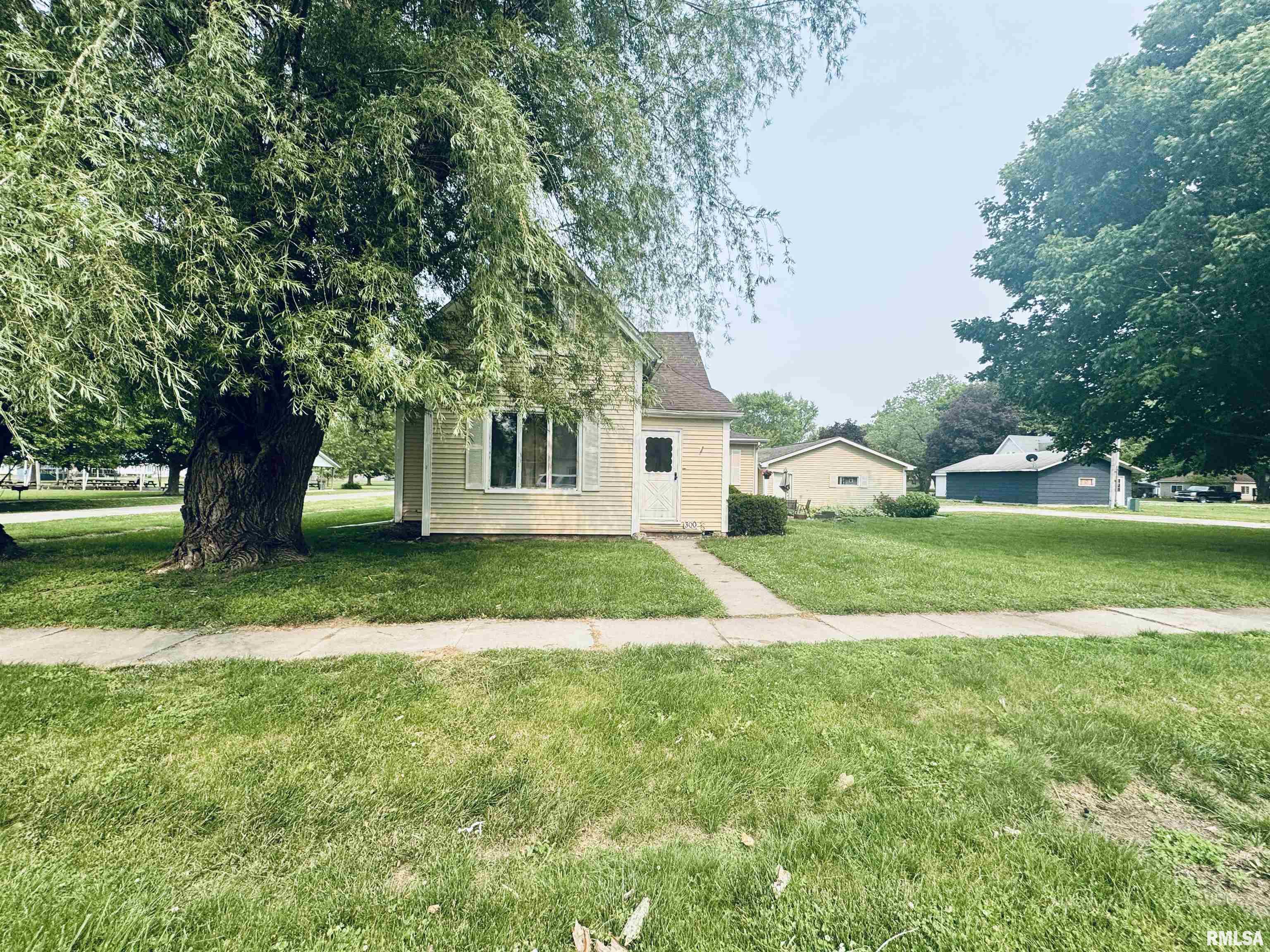 300 S Washington Street, Joy, Illinois image 1