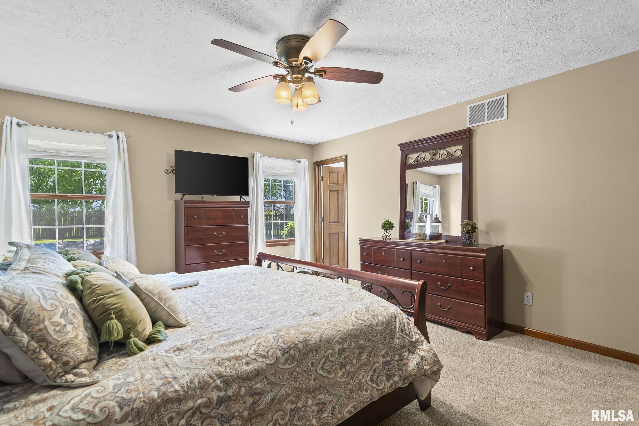 3920 Brandonshire Drive, Springfield, Illinois image 16