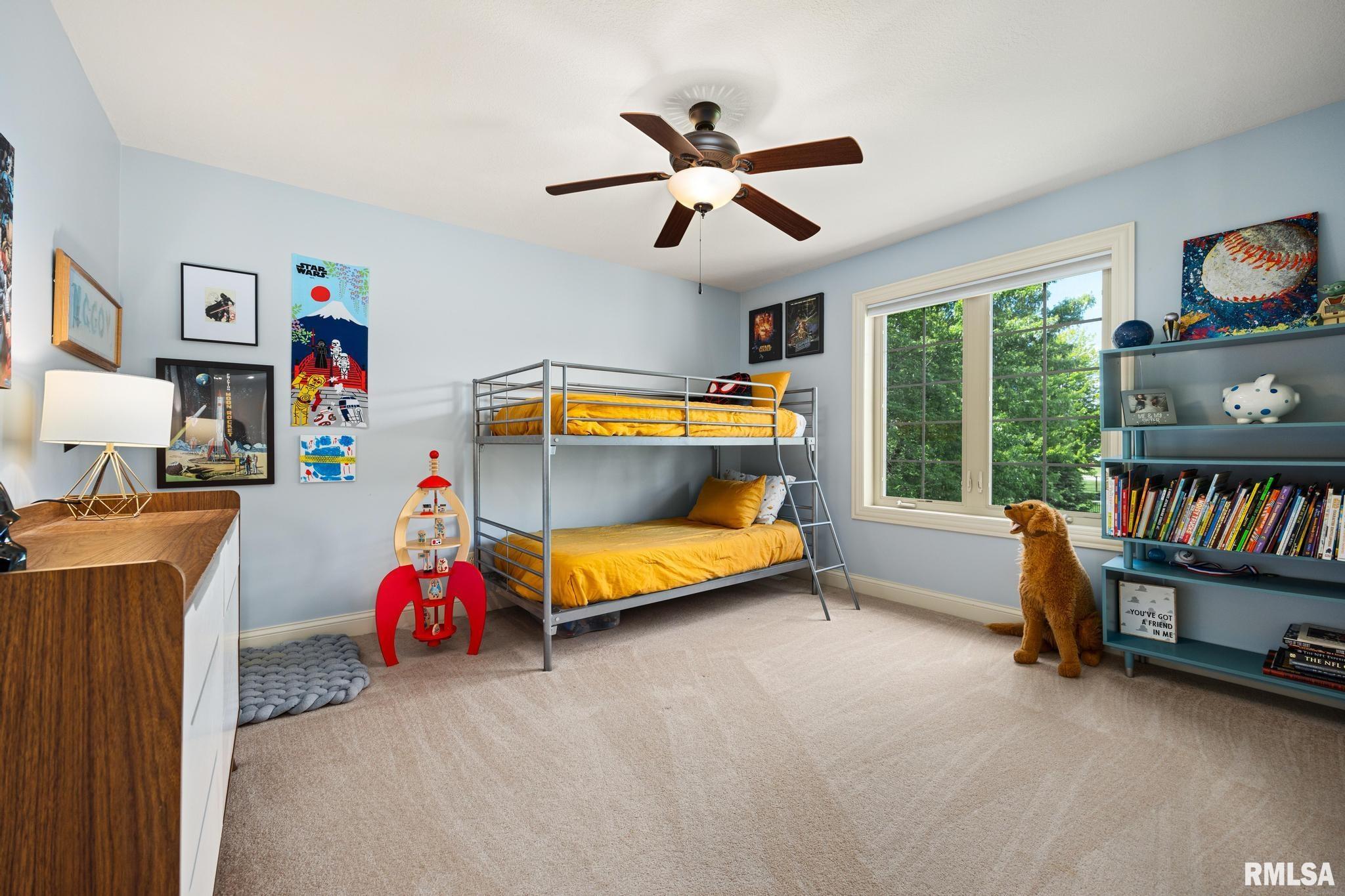 441 Coral Drive, Morton, Illinois image 24