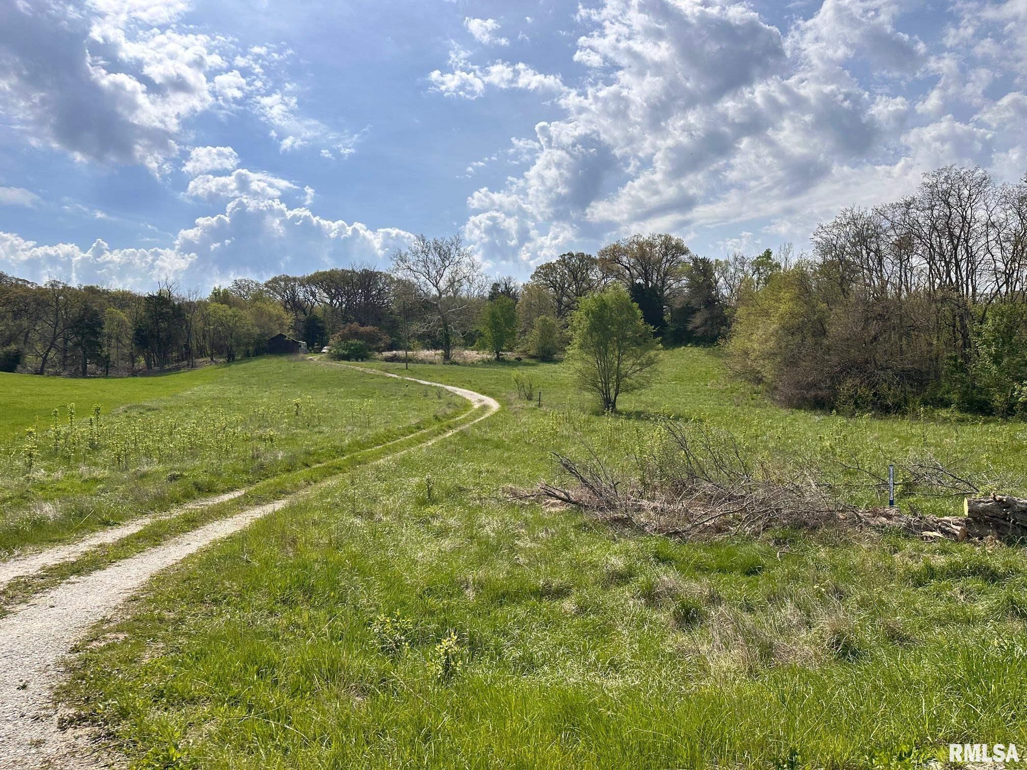 523 Spunky Ridge Road, Meredosia, Illinois image 1