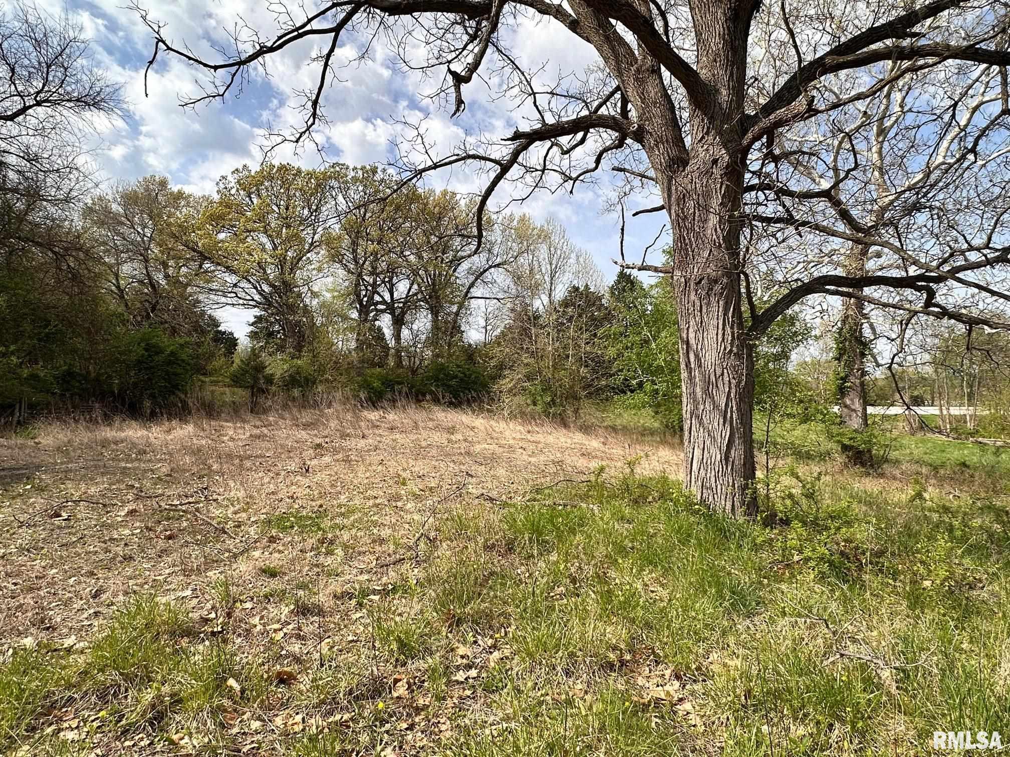 523 Spunky Ridge Road, Meredosia, Illinois image 3