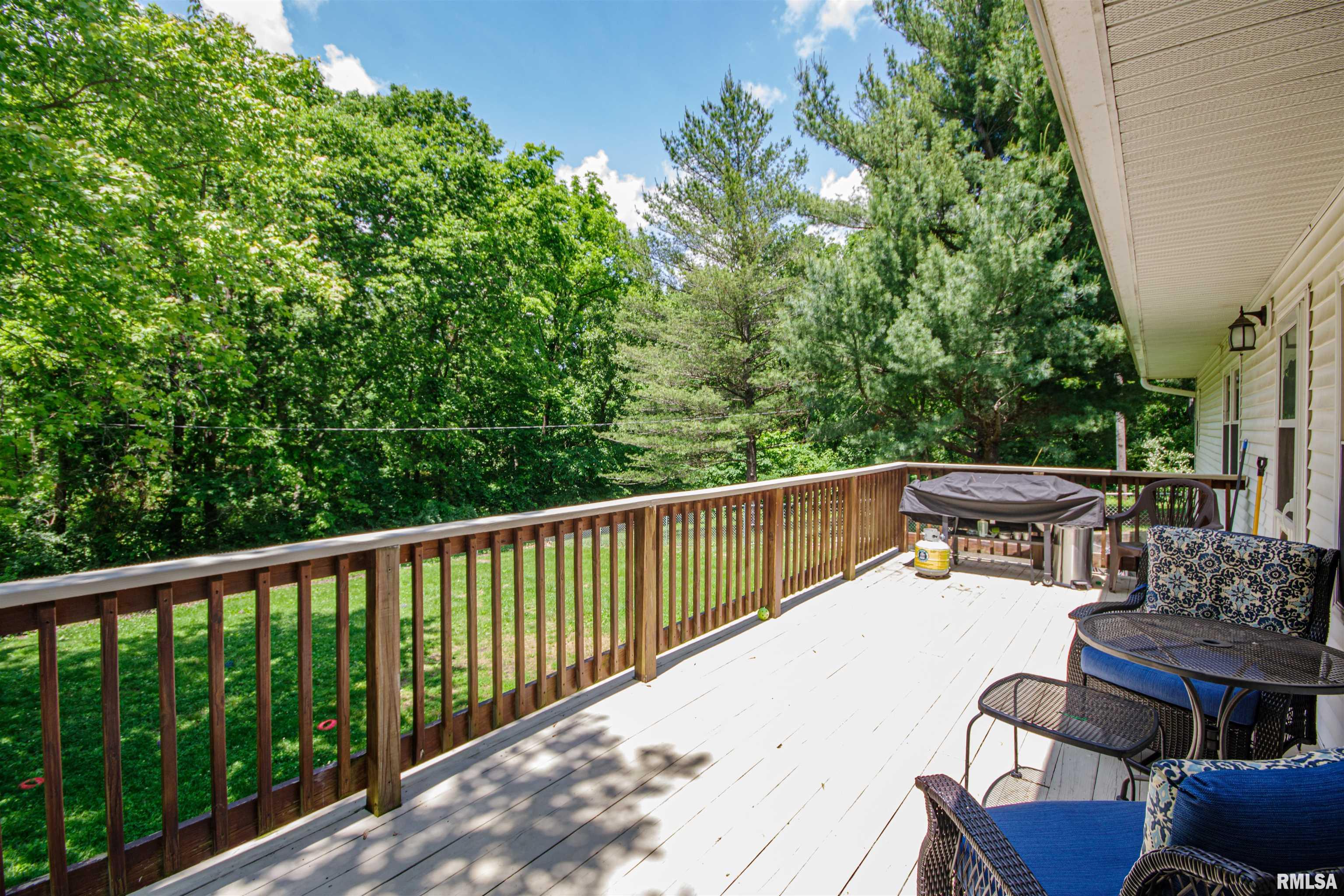 3419 Hotze Road, Salem, Illinois image 41