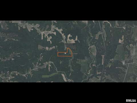 Vacant Land For Sale - 00 Christian Neck Road<br/> Schuyler County, Rushville, IL 62681