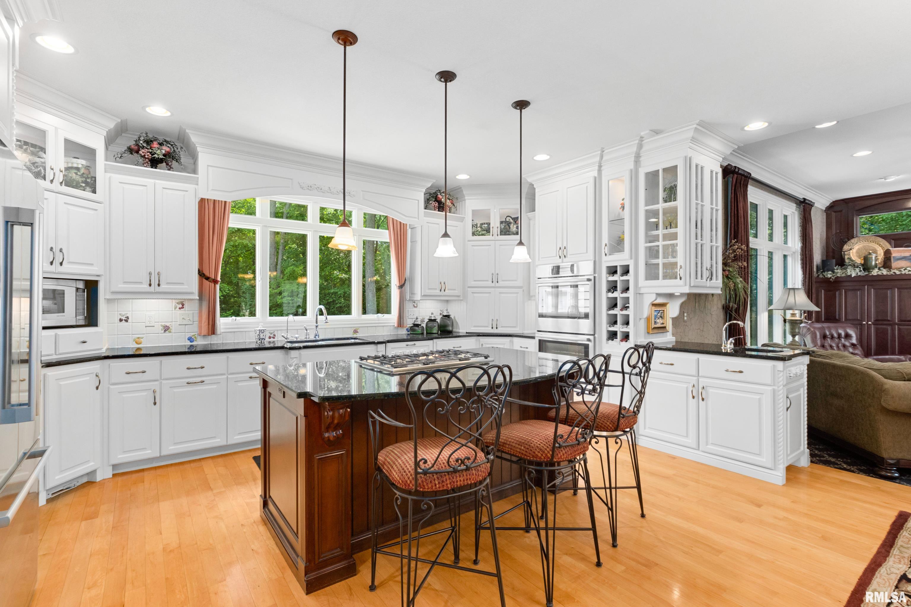 11518 N Nettle Creek Drive, Dunlap, Illinois image 11