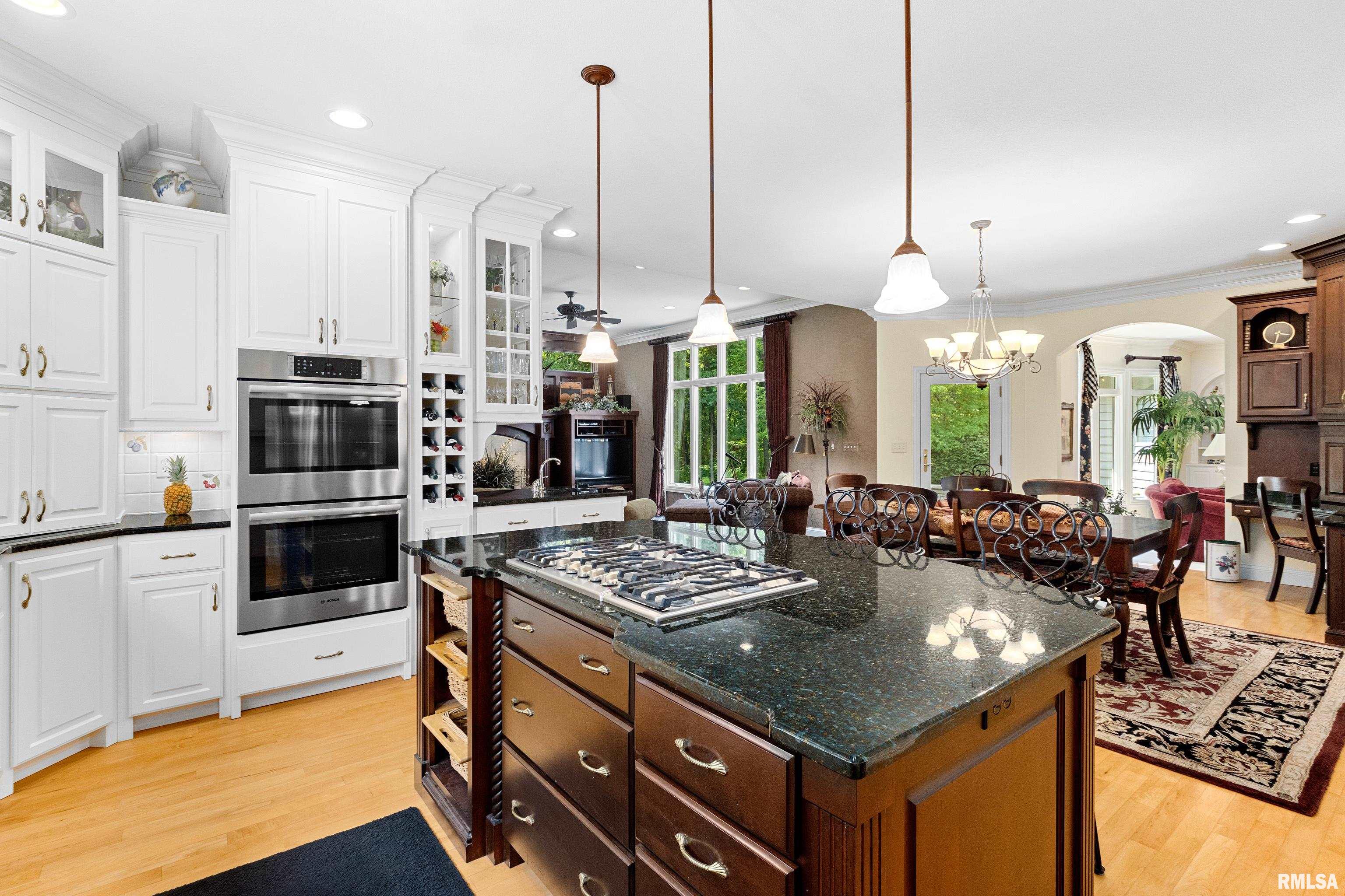 11518 N Nettle Creek Drive, Dunlap, Illinois image 15