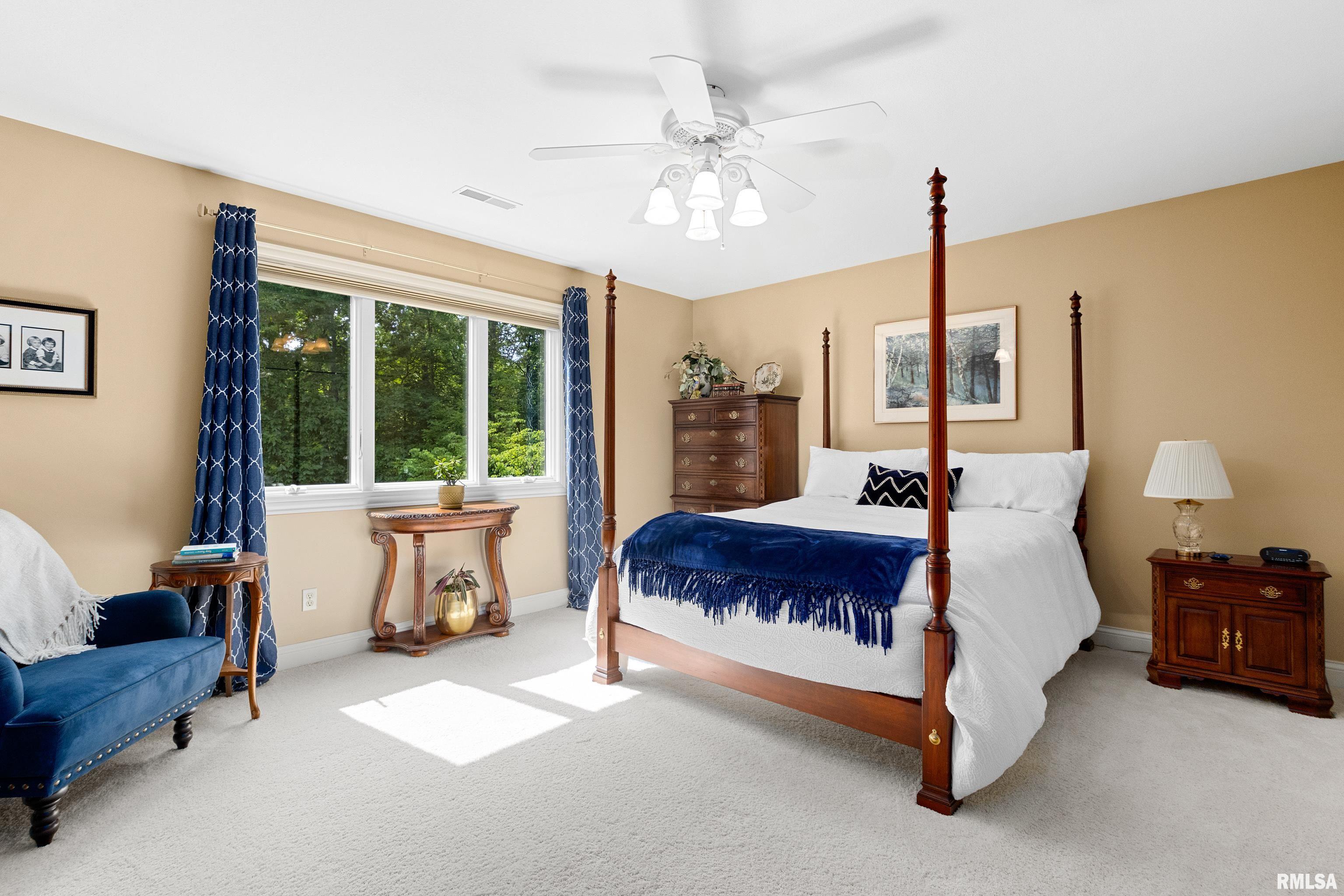 11518 N Nettle Creek Drive, Dunlap, Illinois image 37