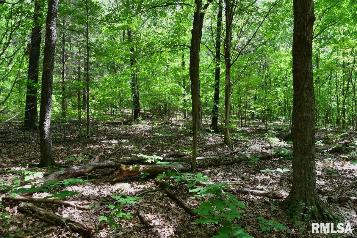 001 Robinson Hill Road, Stonefort, Illinois image 12
