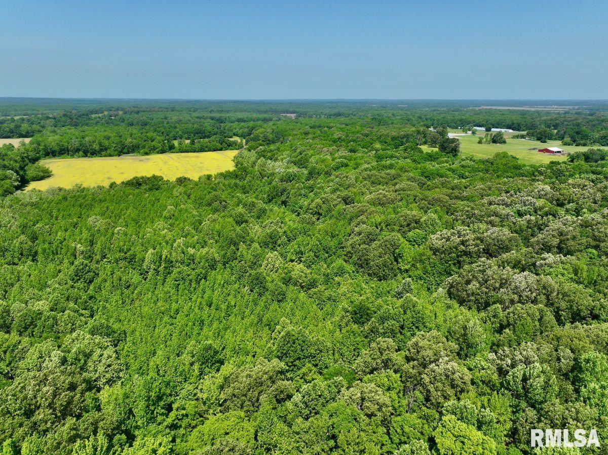 001 Robinson Hill Road, Stonefort, Illinois image 13
