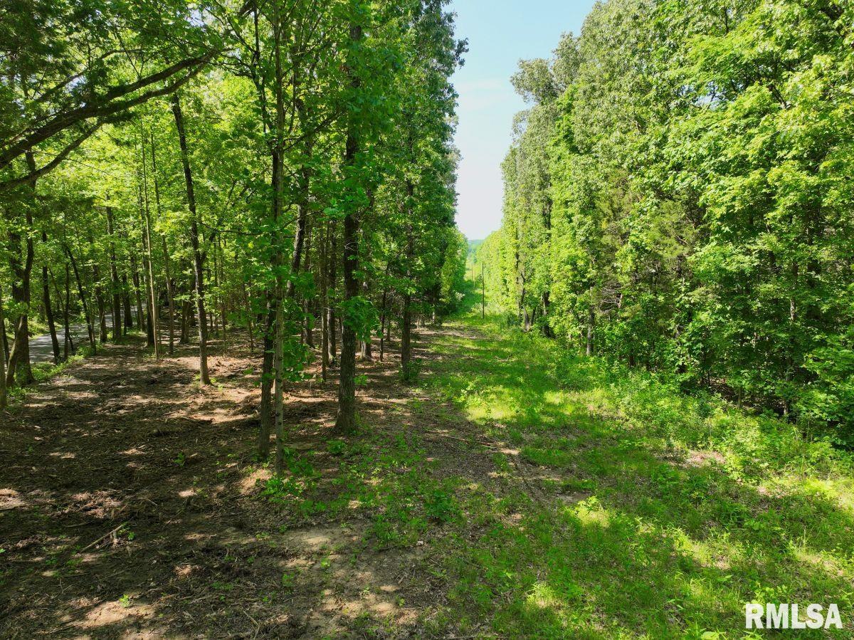 001 Robinson Hill Road, Stonefort, Illinois image 4