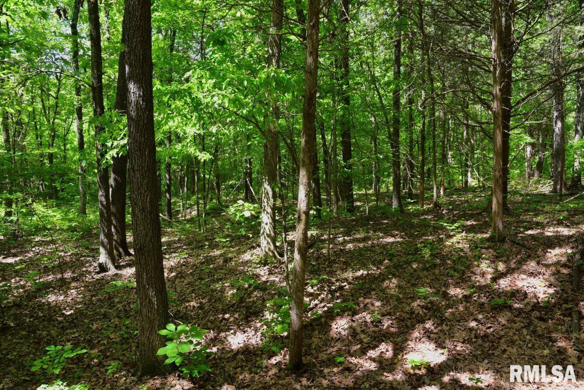 001 Robinson Hill Road, Stonefort, Illinois image 21