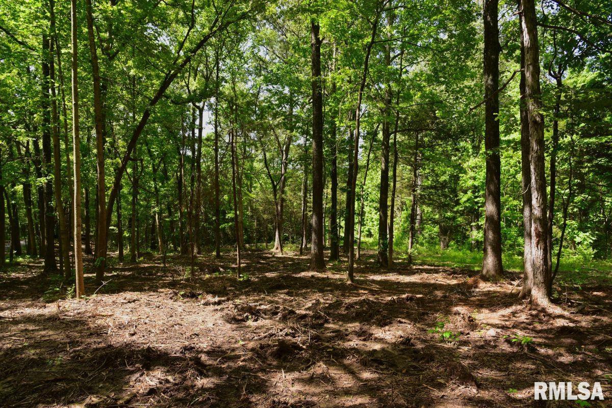 001 Robinson Hill Road, Stonefort, Illinois image 14