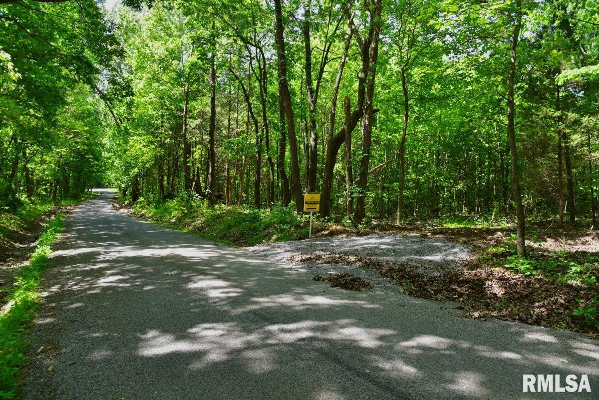 001 Robinson Hill Road, Stonefort, Illinois image 1