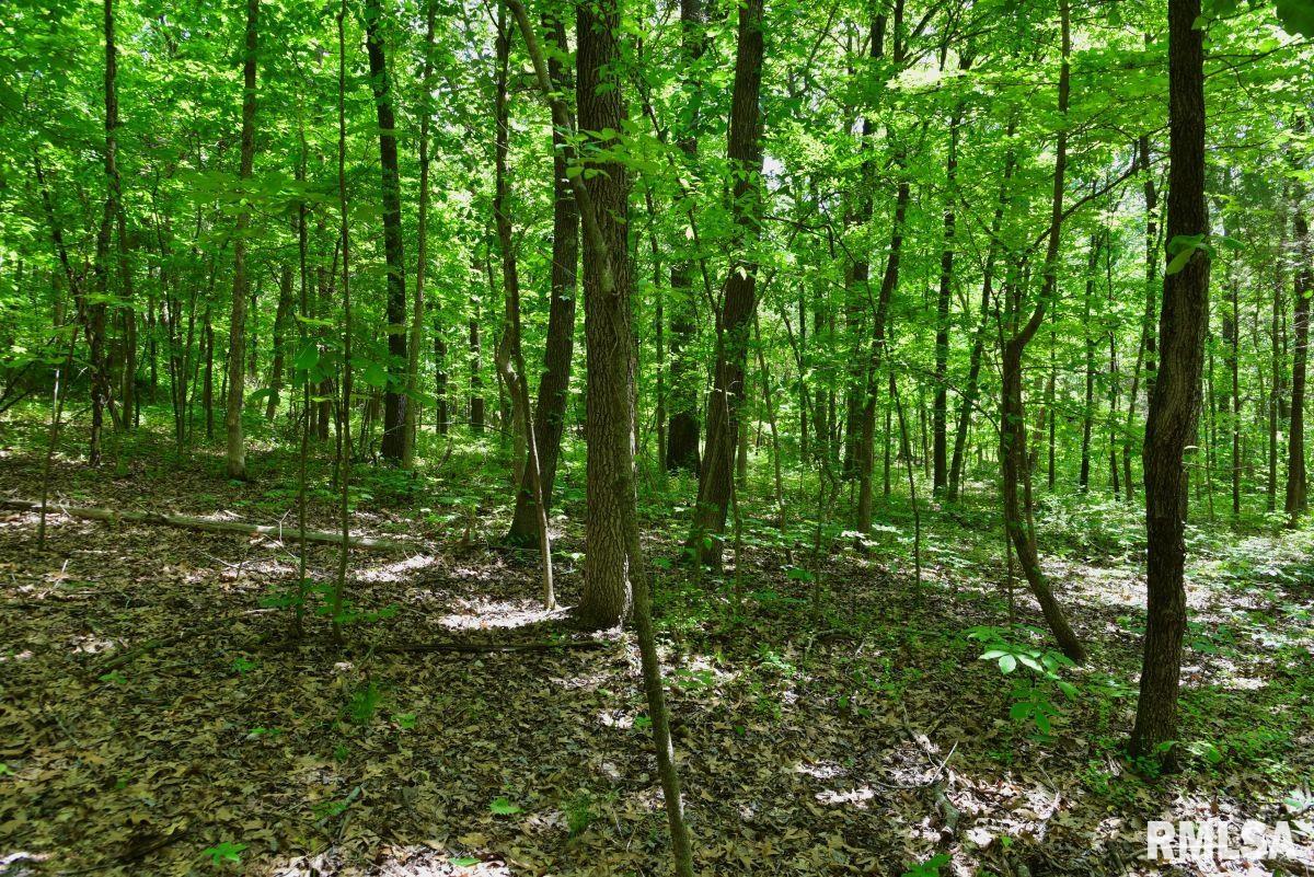 001 Robinson Hill Road, Stonefort, Illinois image 27