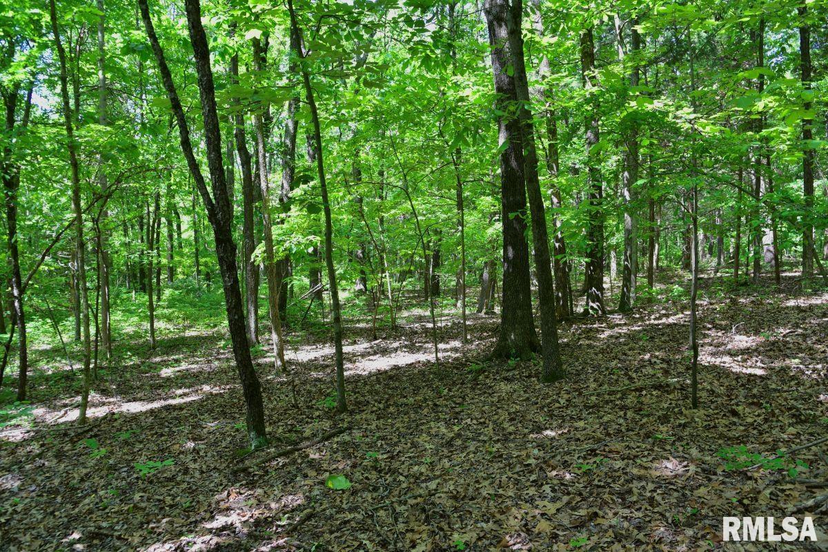 001 Robinson Hill Road, Stonefort, Illinois image 10