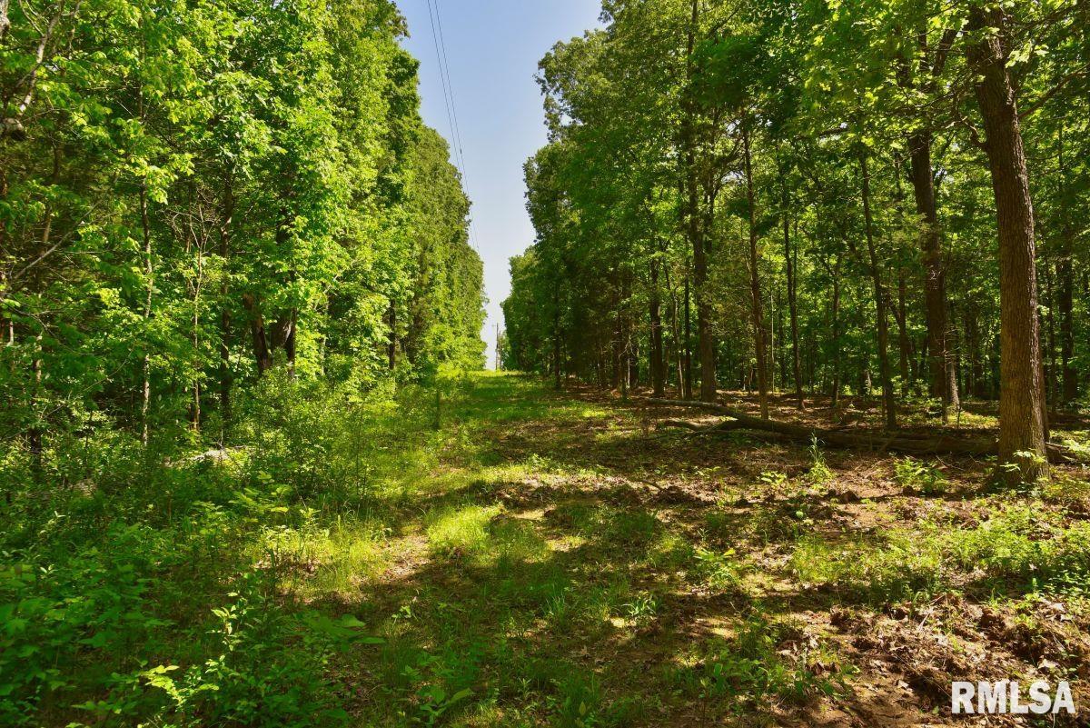 001 Robinson Hill Road, Stonefort, Illinois image 9