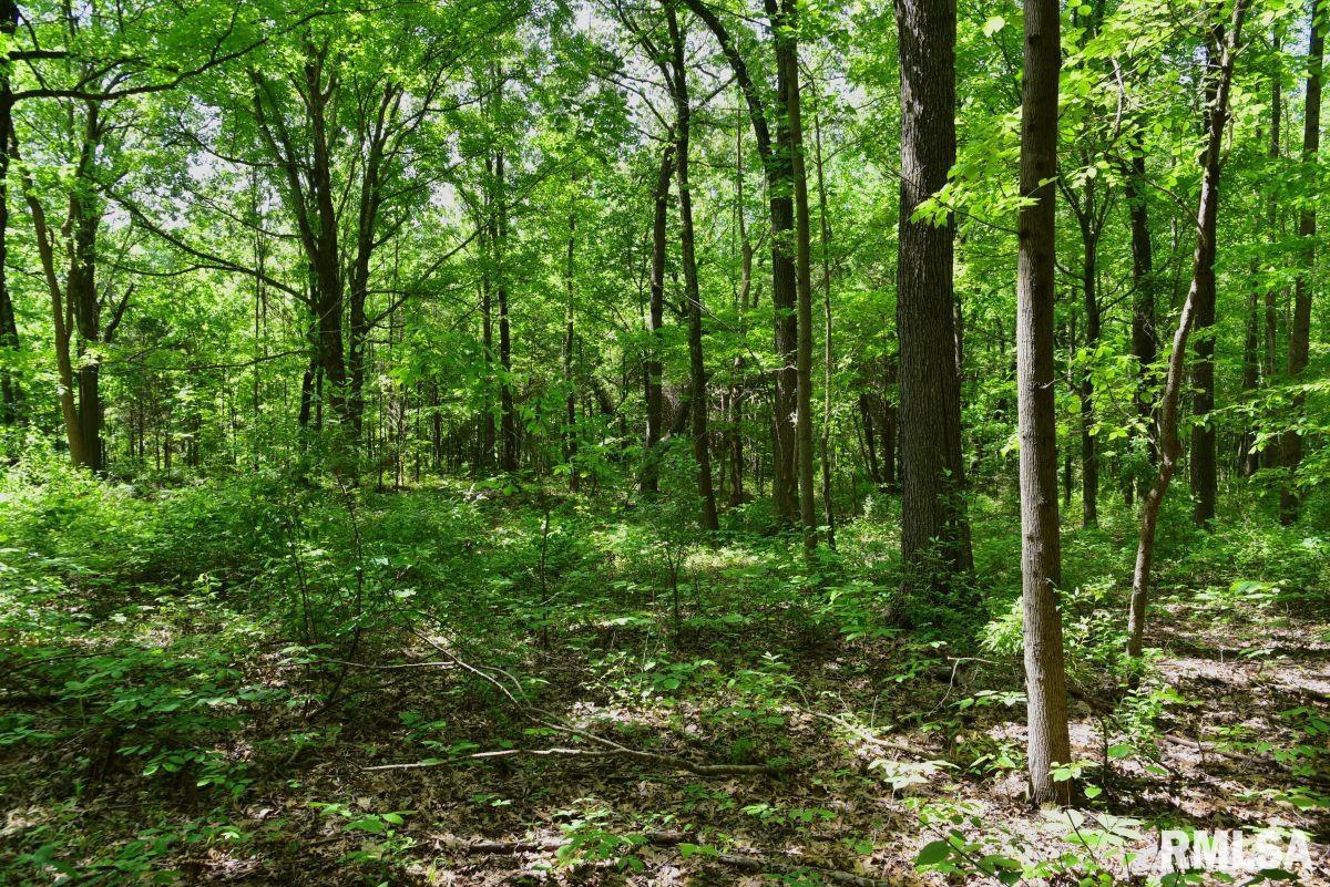 001 Robinson Hill Road, Stonefort, Illinois image 22