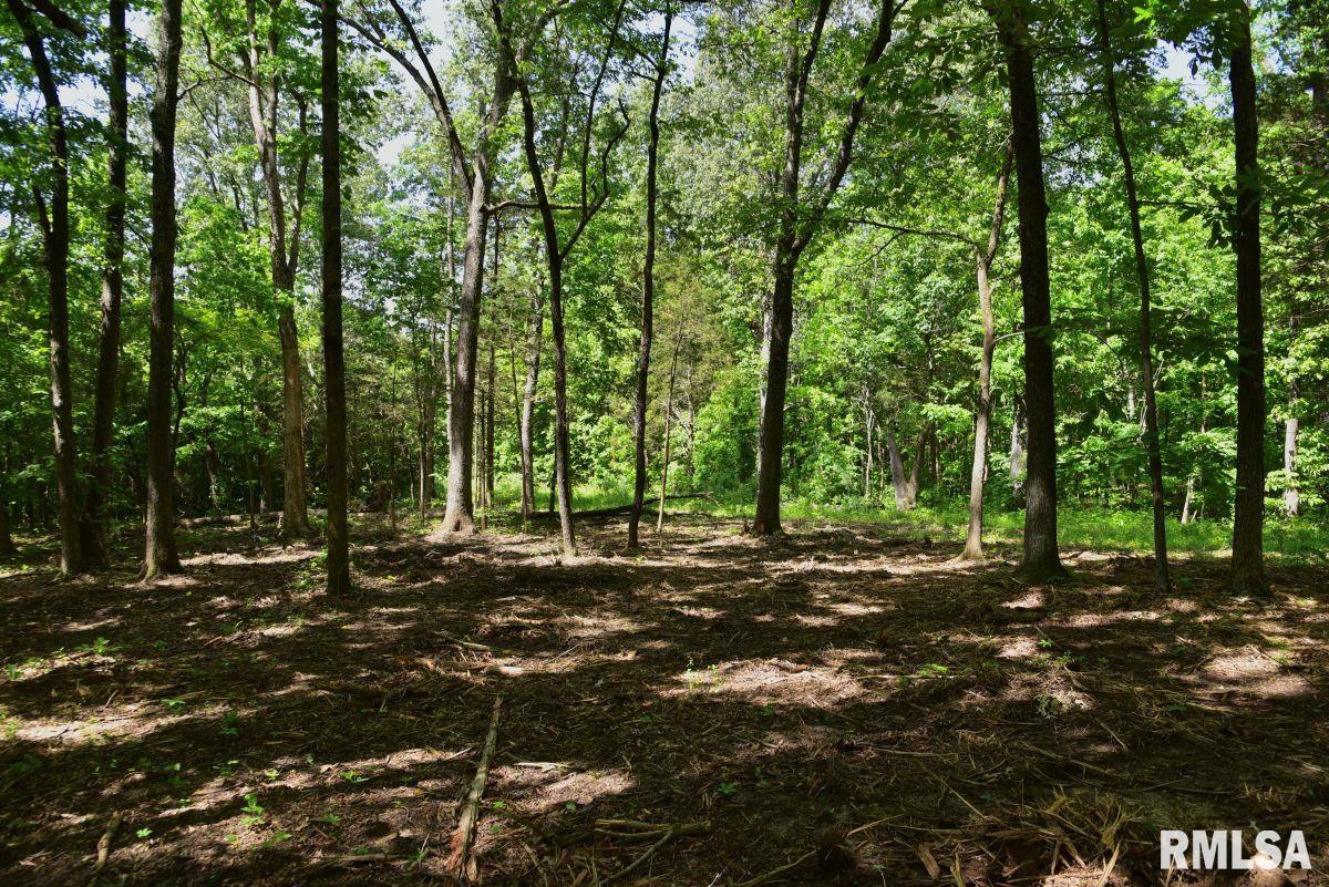 001 Robinson Hill Road, Stonefort, Illinois image 16