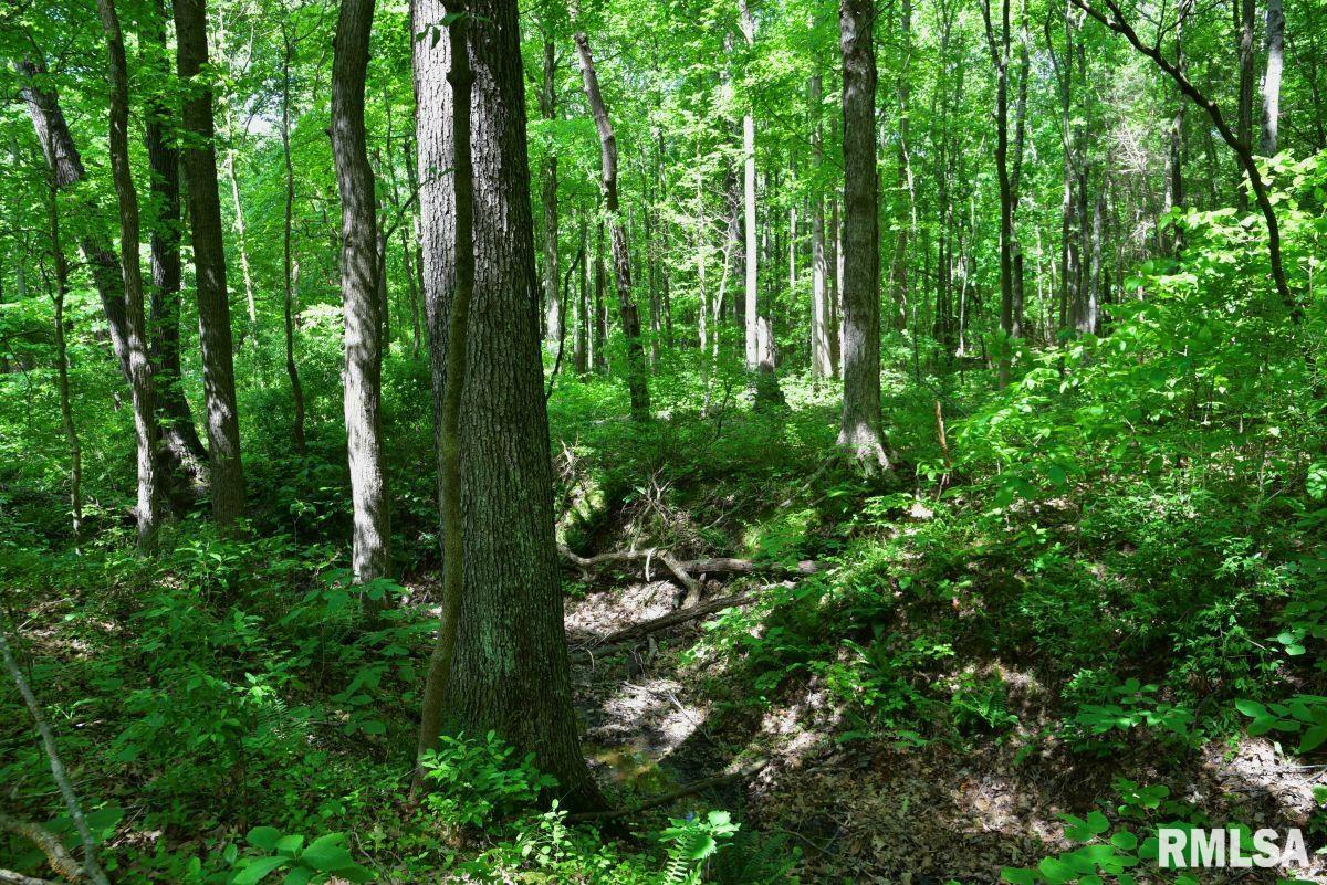 001 Robinson Hill Road, Stonefort, Illinois image 28