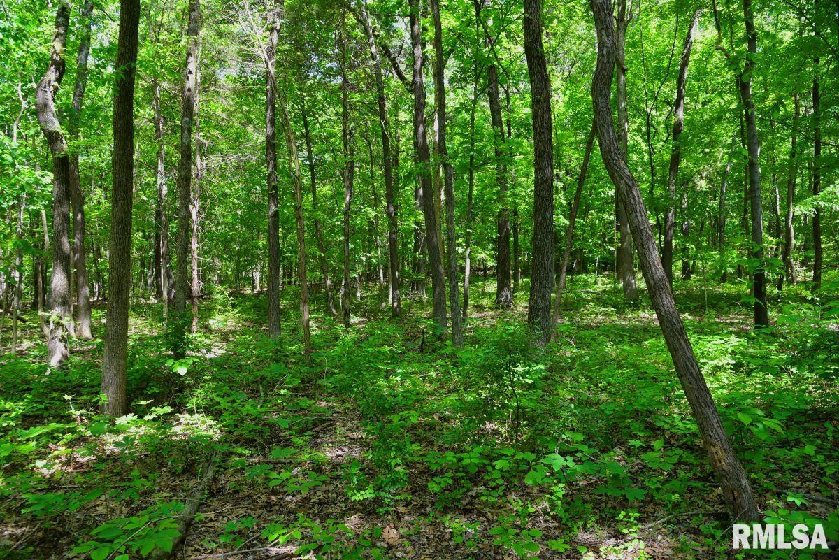 001 Robinson Hill Road, Stonefort, Illinois image 24
