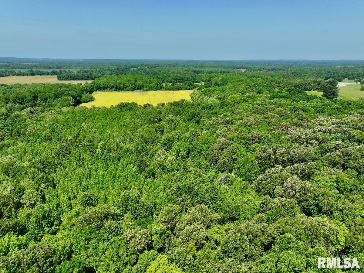001 Robinson Hill Road, Stonefort, Illinois image 3
