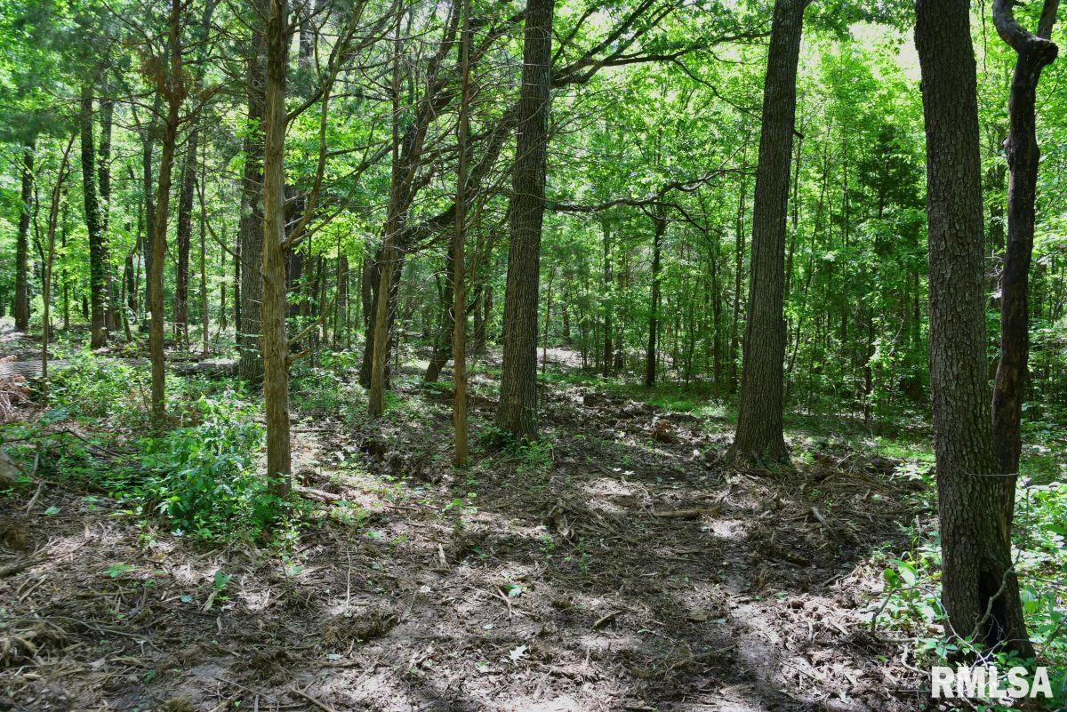 001 Robinson Hill Road, Stonefort, Illinois image 15